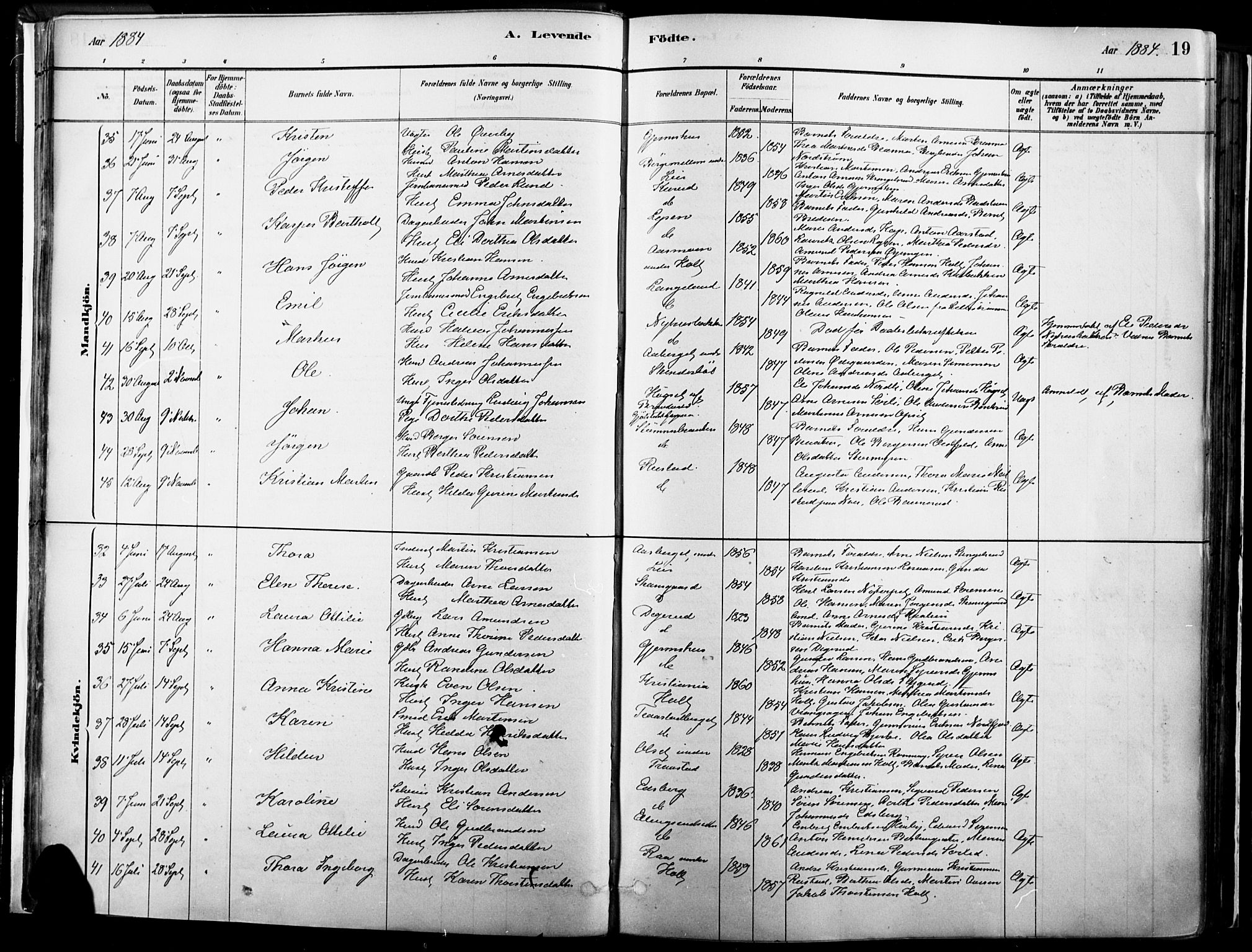 Vinger prestekontor, SAH/PREST-024/H/Ha/Haa/L0014: Parish register (official) no. 14, 1881-1900, p. 19