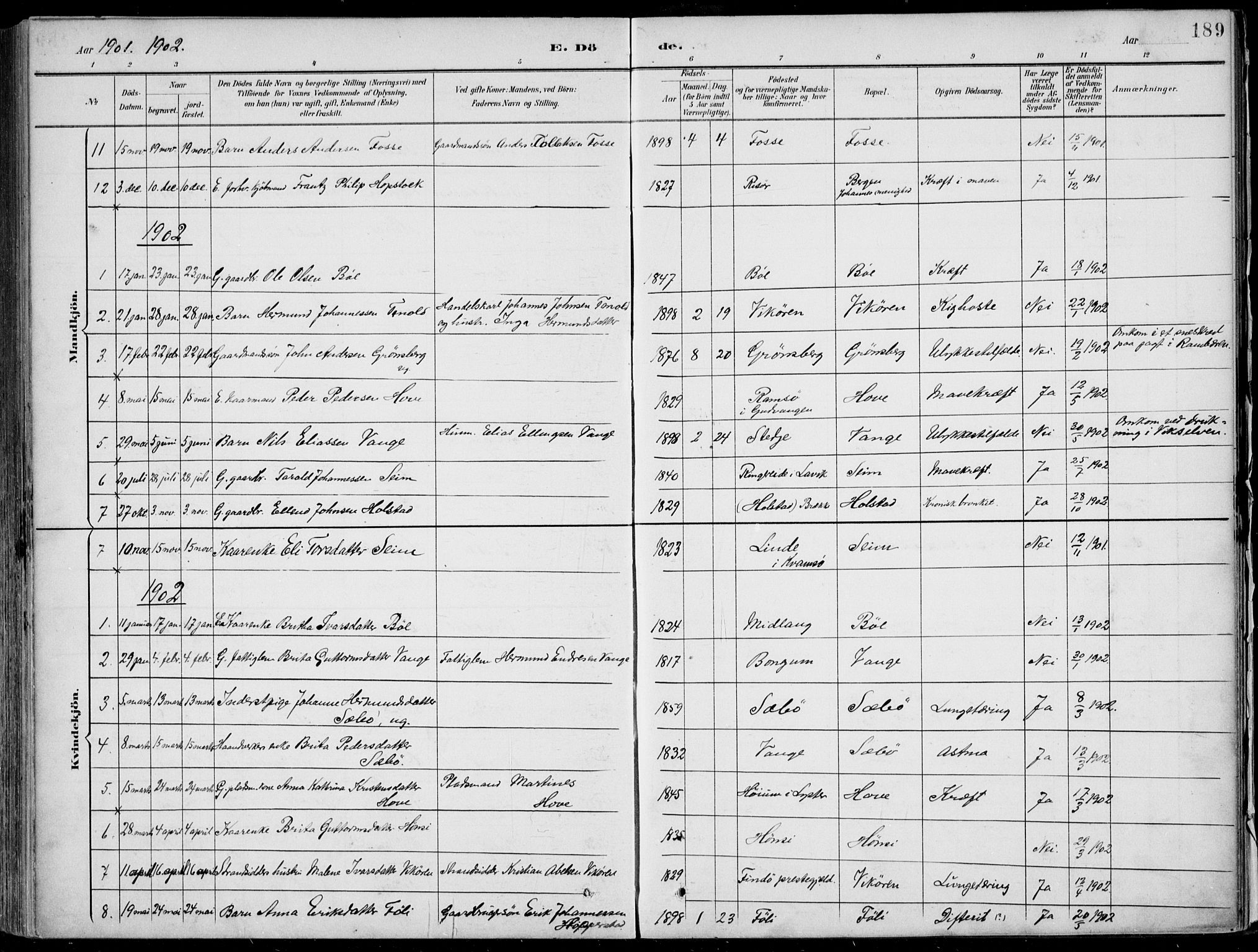 Vik sokneprestembete, AV/SAB-A-81501/H/Haa/Haab/L0002: Parish register (official) no. B  2, 1891-1907, p. 189