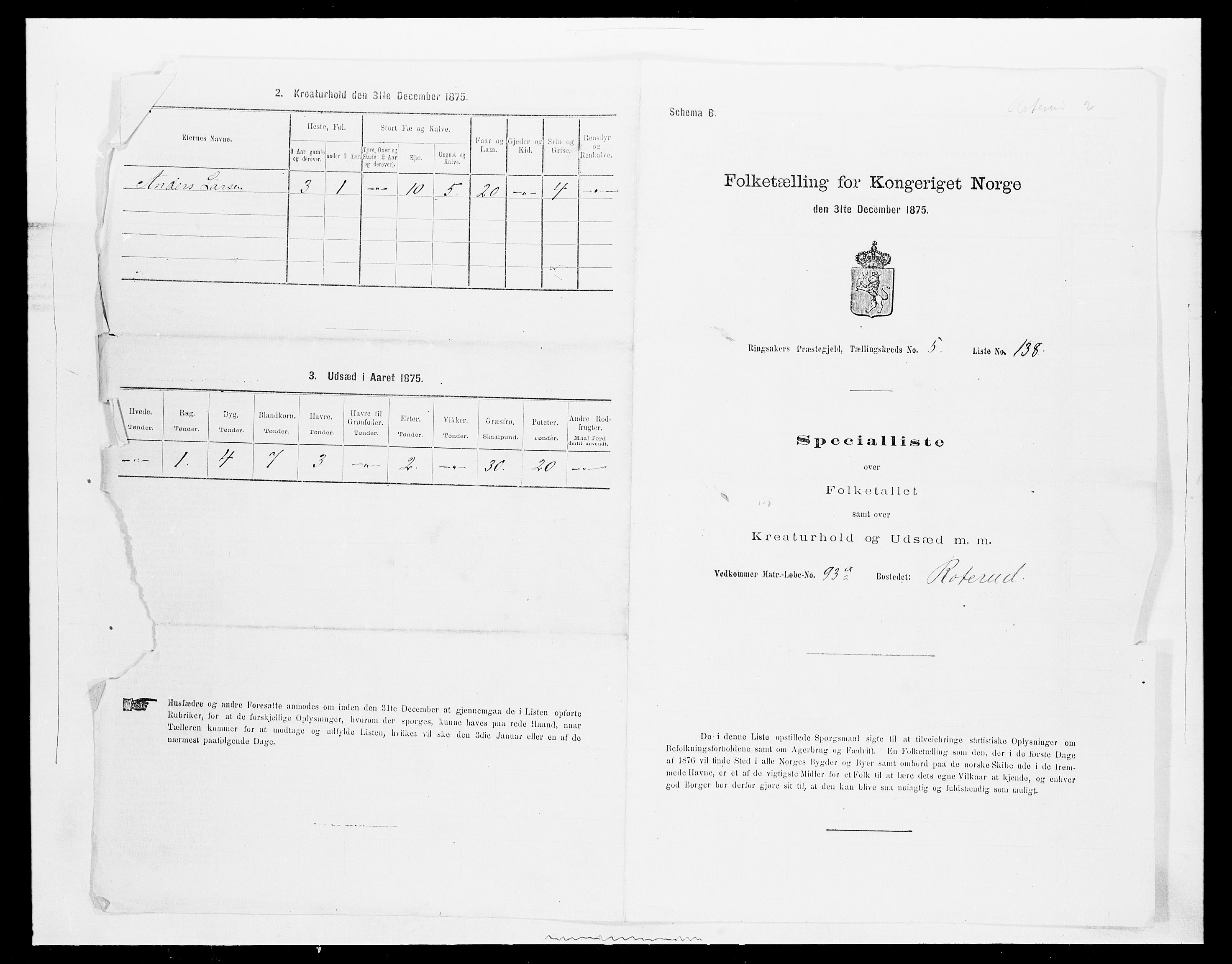 SAH, 1875 census for 0412P Ringsaker, 1875, p. 1206