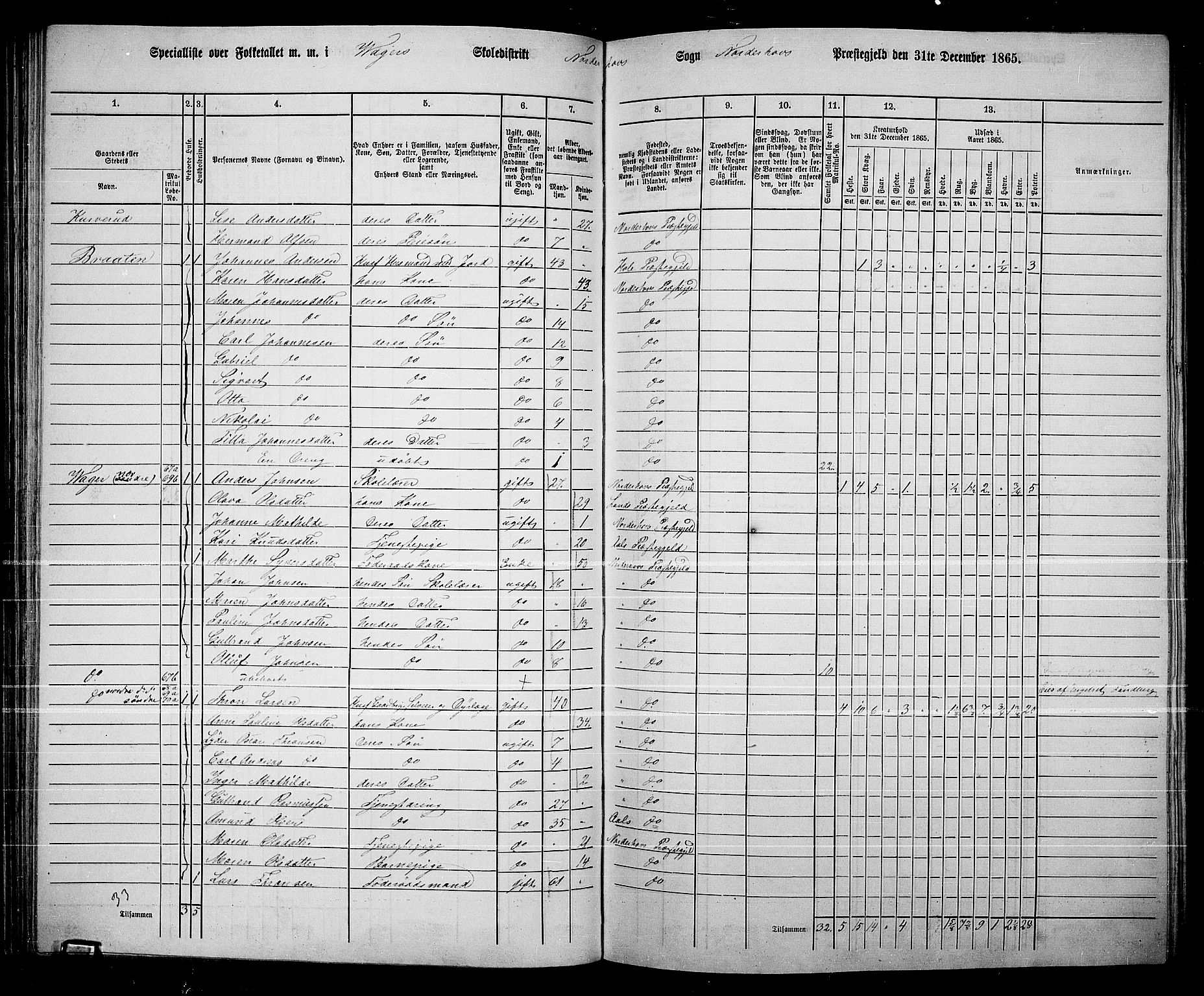 RA, 1865 census for Norderhov/Norderhov, Haug og Lunder, 1865, p. 98