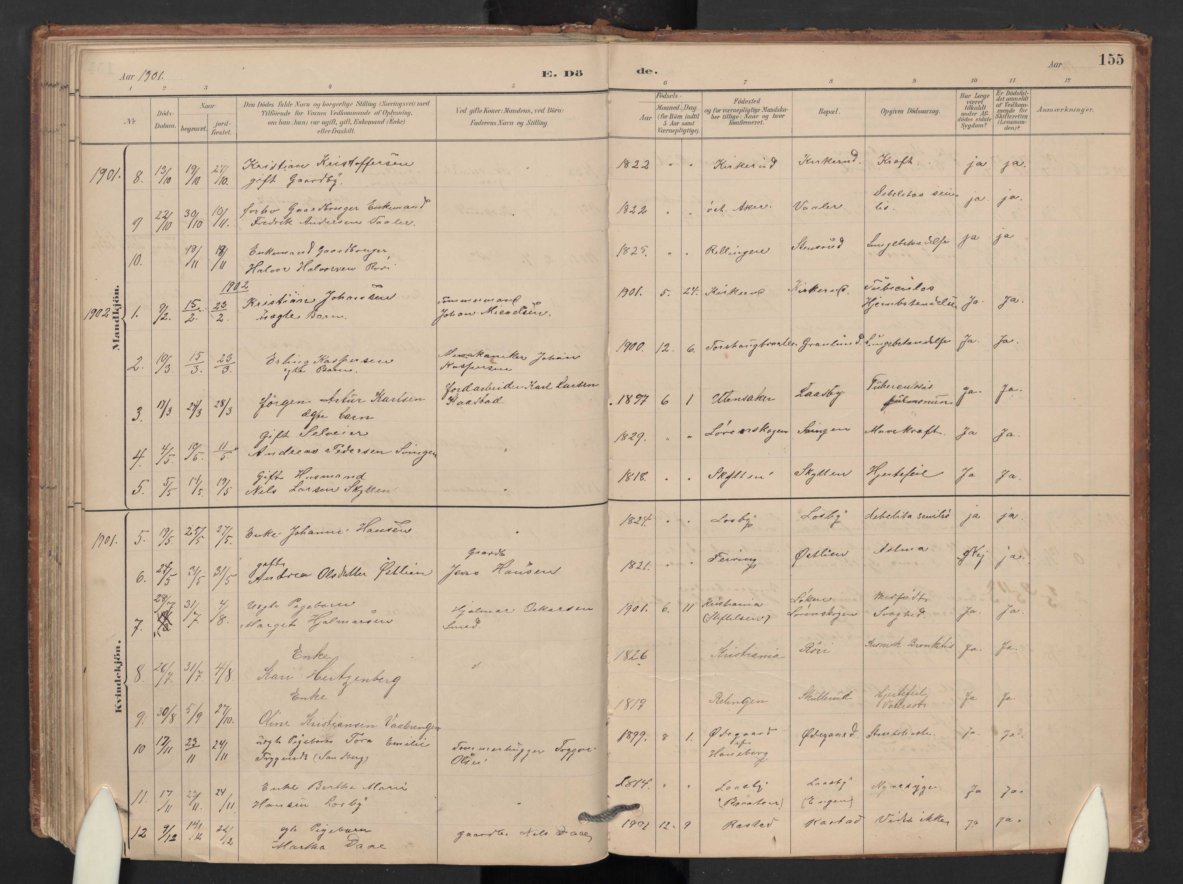 Skedsmo prestekontor Kirkebøker, SAO/A-10033a/G/Gb/L0001: Parish register (copy) no. II 1, 1883-1903, p. 155