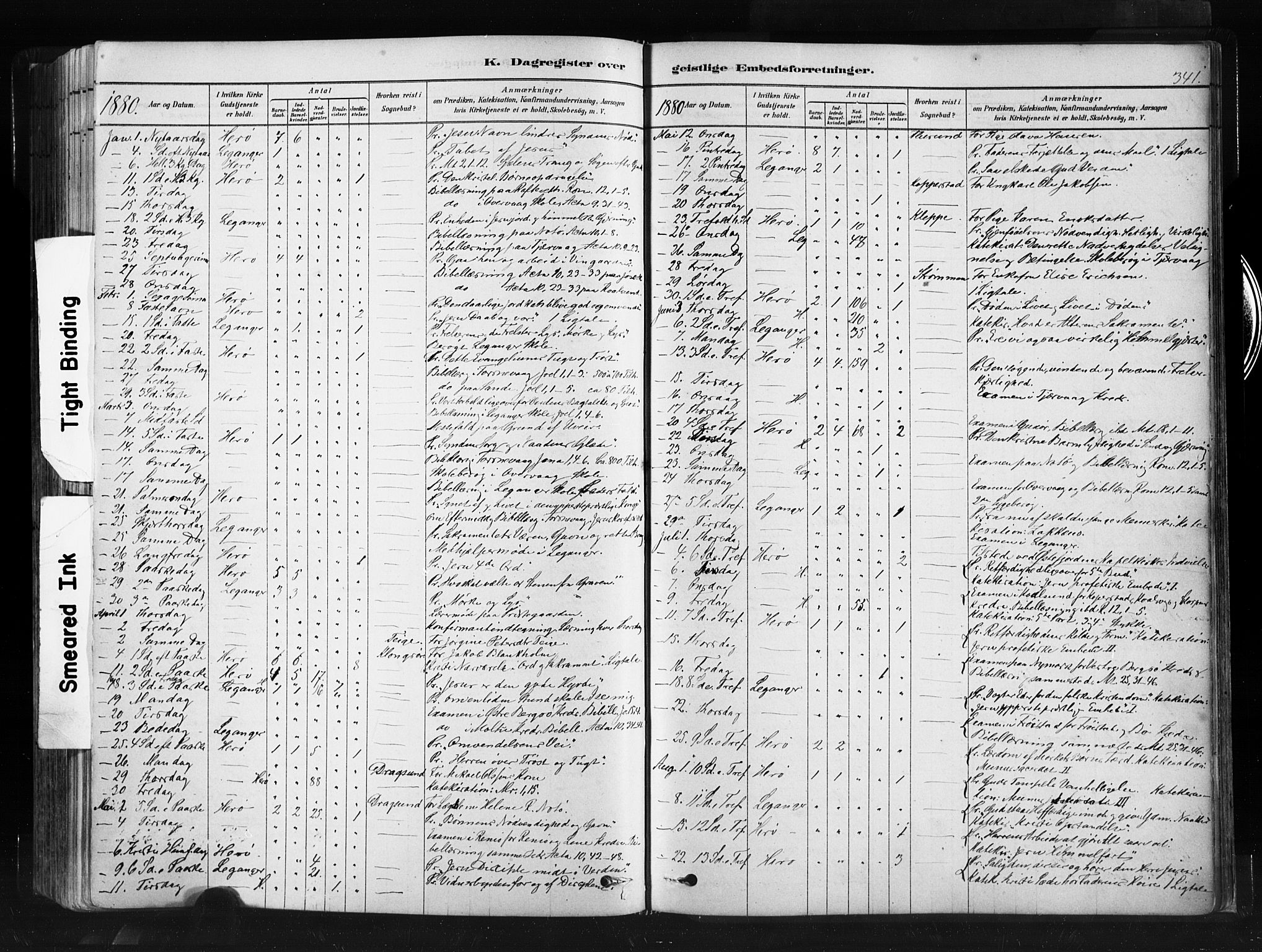 Ministerialprotokoller, klokkerbøker og fødselsregistre - Møre og Romsdal, SAT/A-1454/507/L0073: Parish register (official) no. 507A08, 1878-1904, p. 341