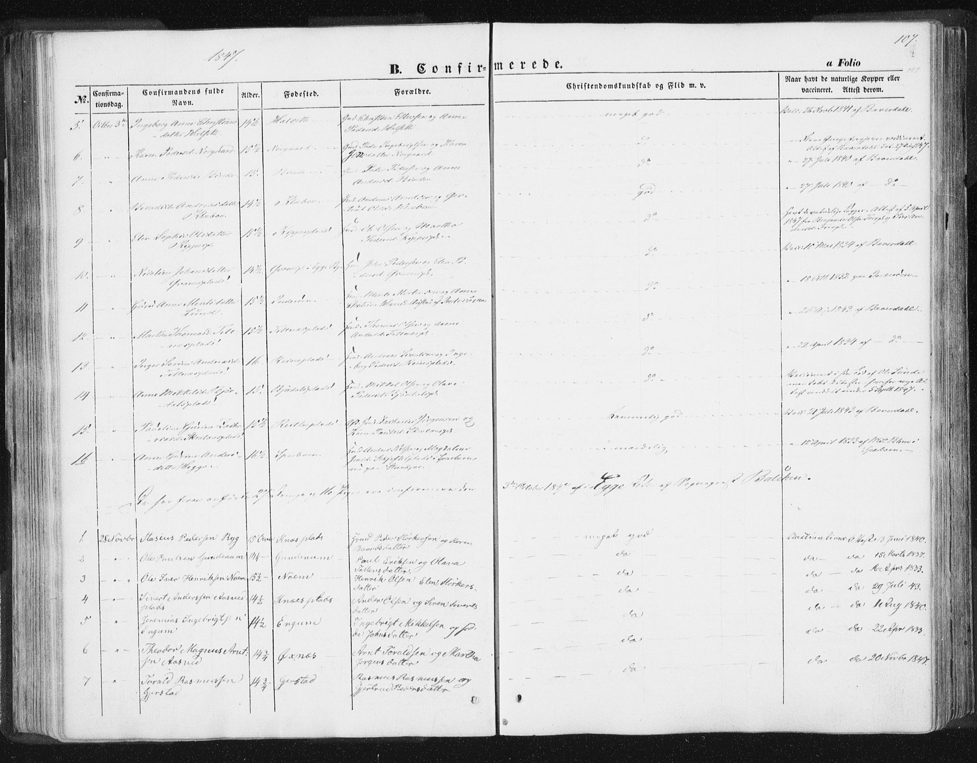 Ministerialprotokoller, klokkerbøker og fødselsregistre - Nord-Trøndelag, AV/SAT-A-1458/746/L0446: Parish register (official) no. 746A05, 1846-1859, p. 107