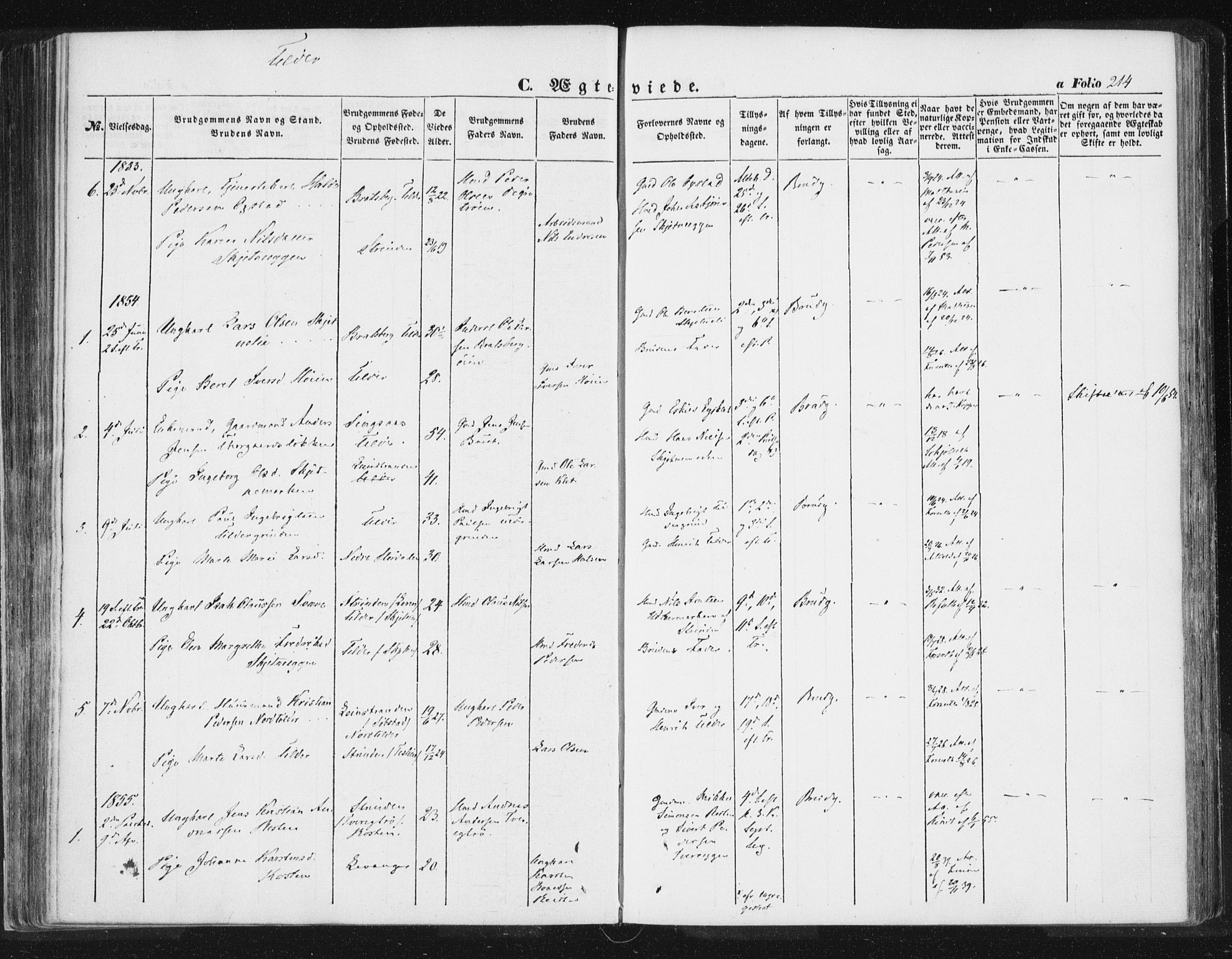 Ministerialprotokoller, klokkerbøker og fødselsregistre - Sør-Trøndelag, AV/SAT-A-1456/618/L0441: Parish register (official) no. 618A05, 1843-1862, p. 214