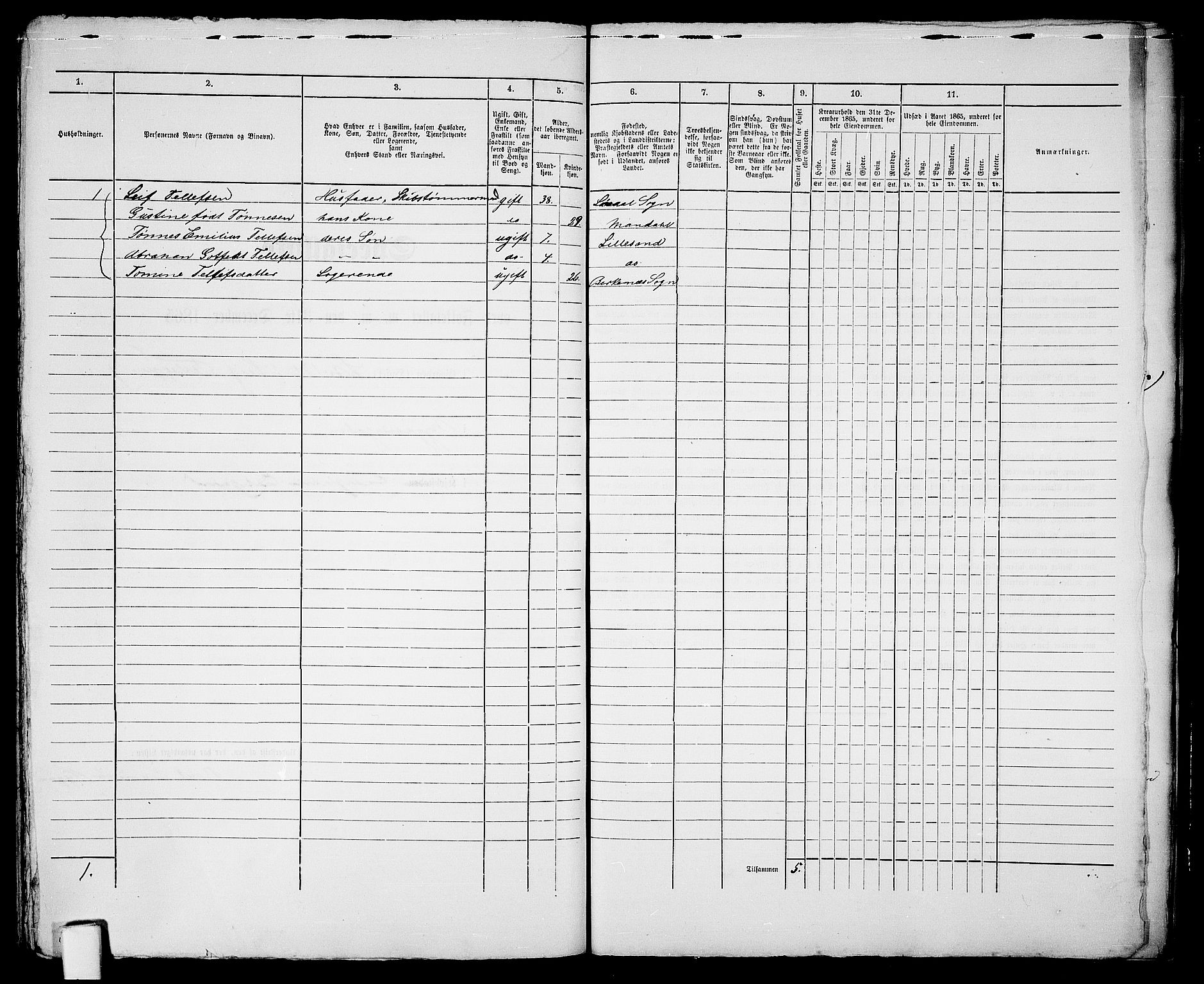 RA, 1865 census for Vestre Moland/Lillesand, 1865, p. 320