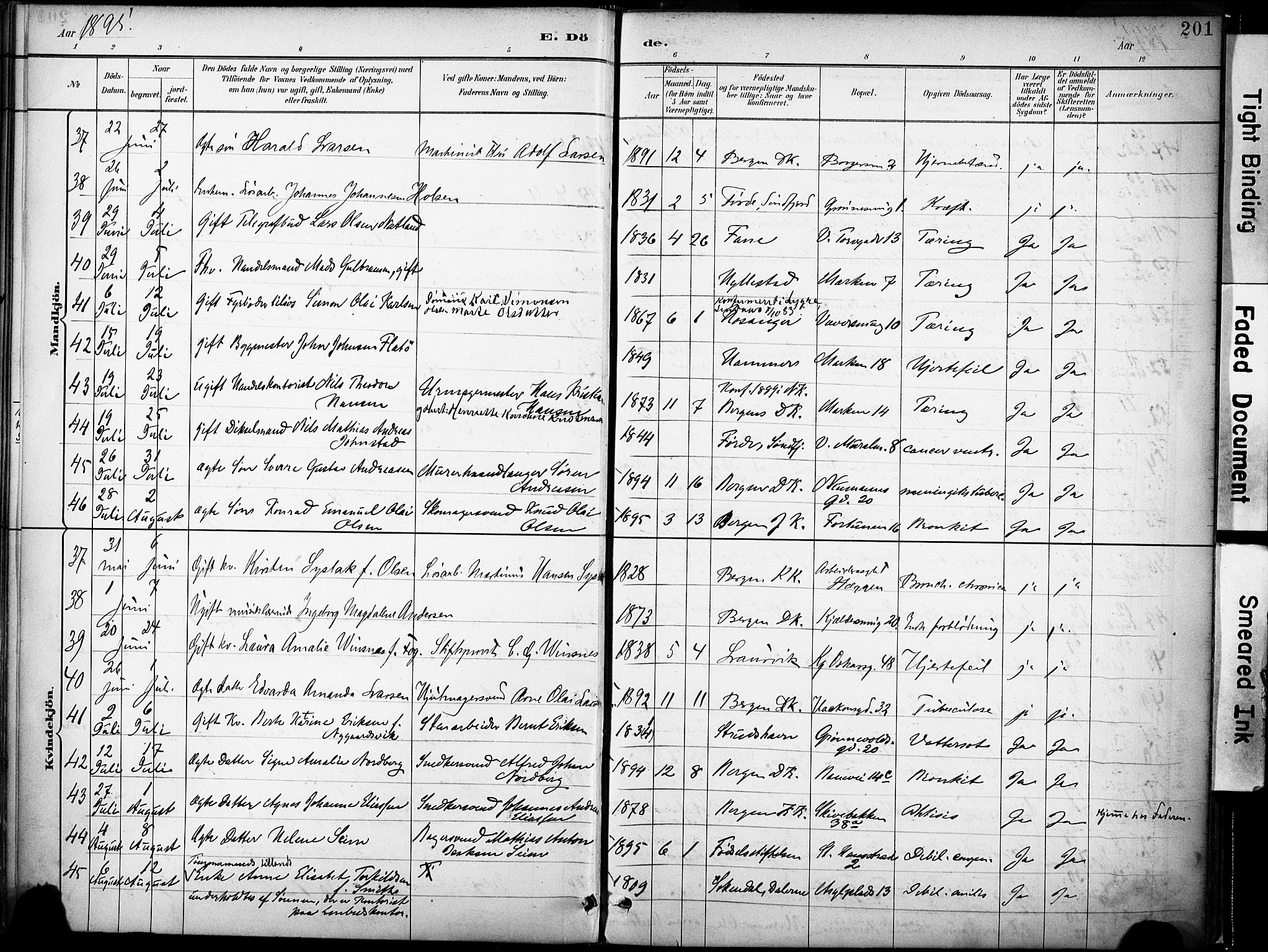 Domkirken sokneprestembete, AV/SAB-A-74801/H/Haa/L0043: Parish register (official) no. E 5, 1882-1904, p. 201