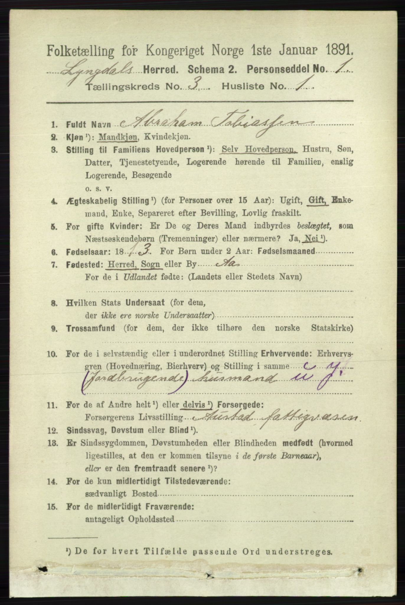 RA, 1891 census for 1032 Lyngdal, 1891, p. 1087