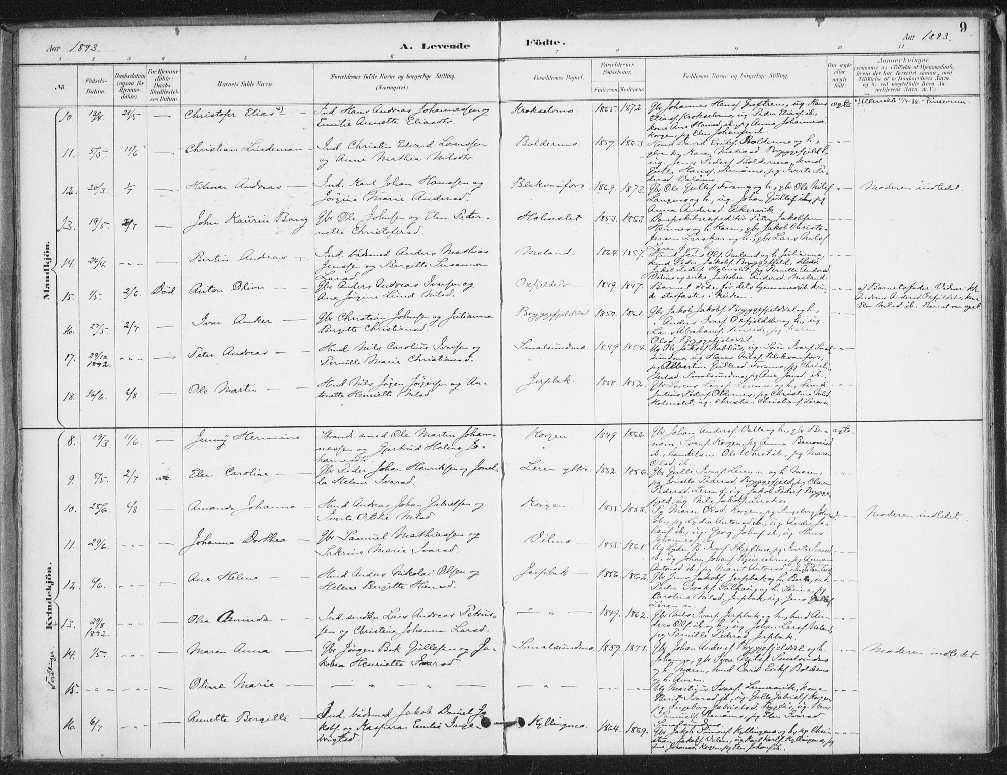 Ministerialprotokoller, klokkerbøker og fødselsregistre - Nordland, AV/SAT-A-1459/826/L0380: Parish register (official) no. 826A03, 1891-1911, p. 9