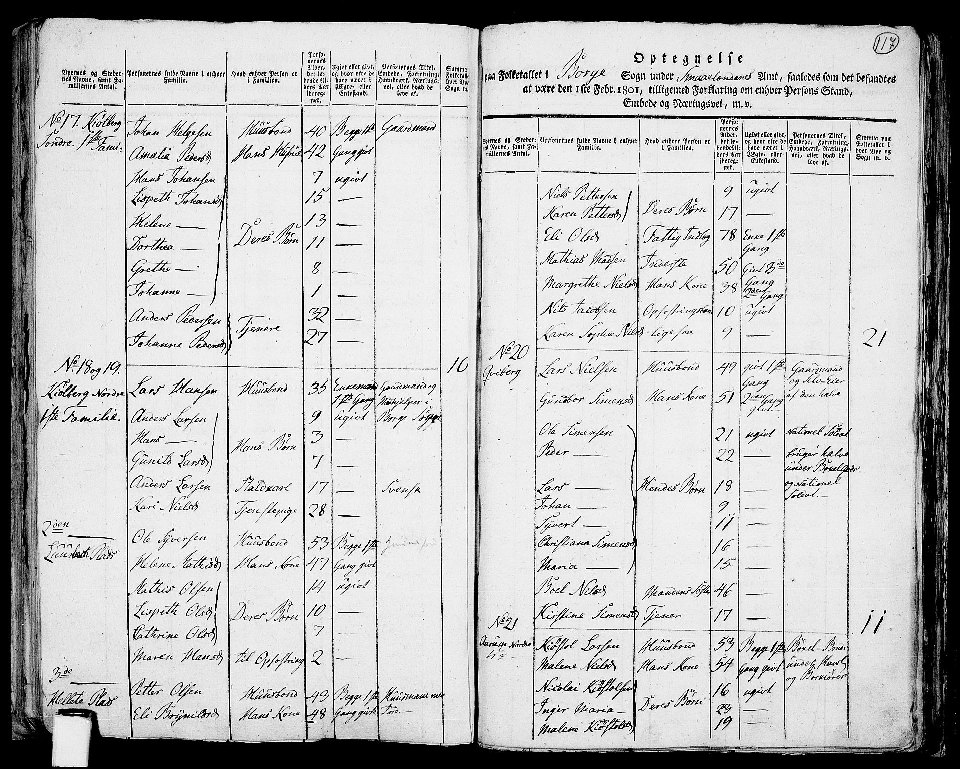 RA, 1801 census for 0113P Borge, 1801, p. 116b-117a