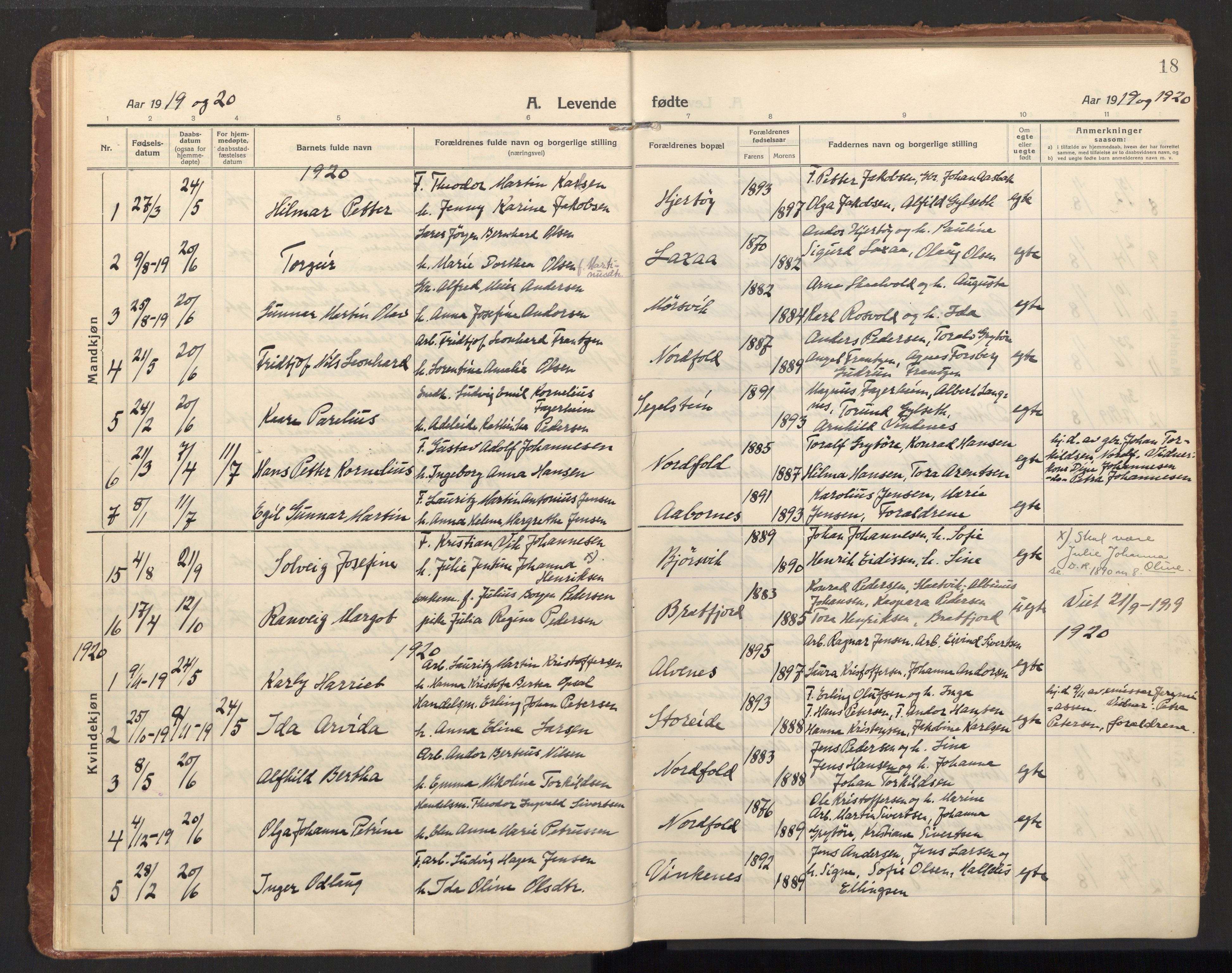 Ministerialprotokoller, klokkerbøker og fødselsregistre - Nordland, AV/SAT-A-1459/858/L0833: Parish register (official) no. 858A03, 1916-1934, p. 18