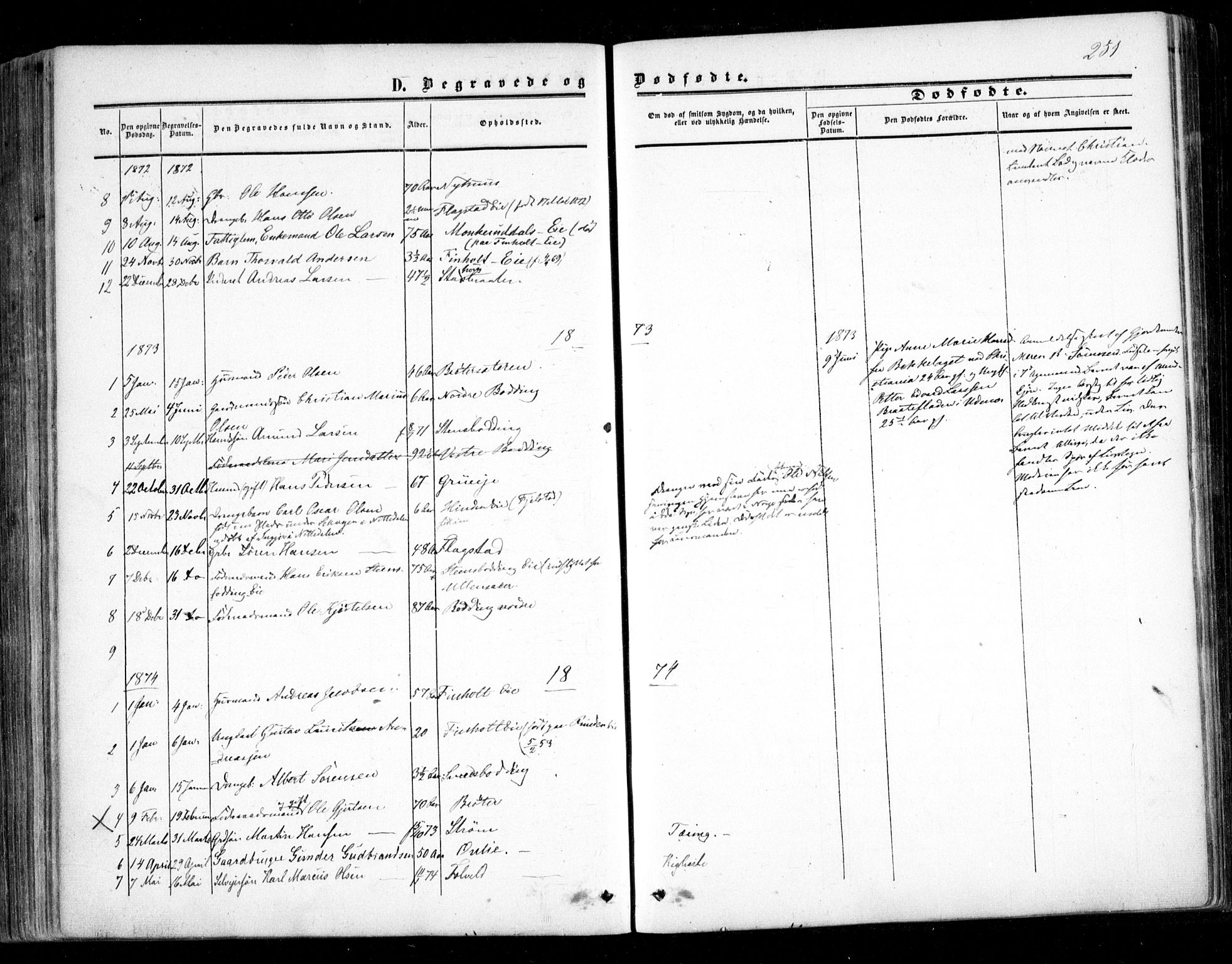 Nes prestekontor Kirkebøker, AV/SAO-A-10410/F/Fc/L0001: Parish register (official) no. III 1, 1859-1882, p. 251