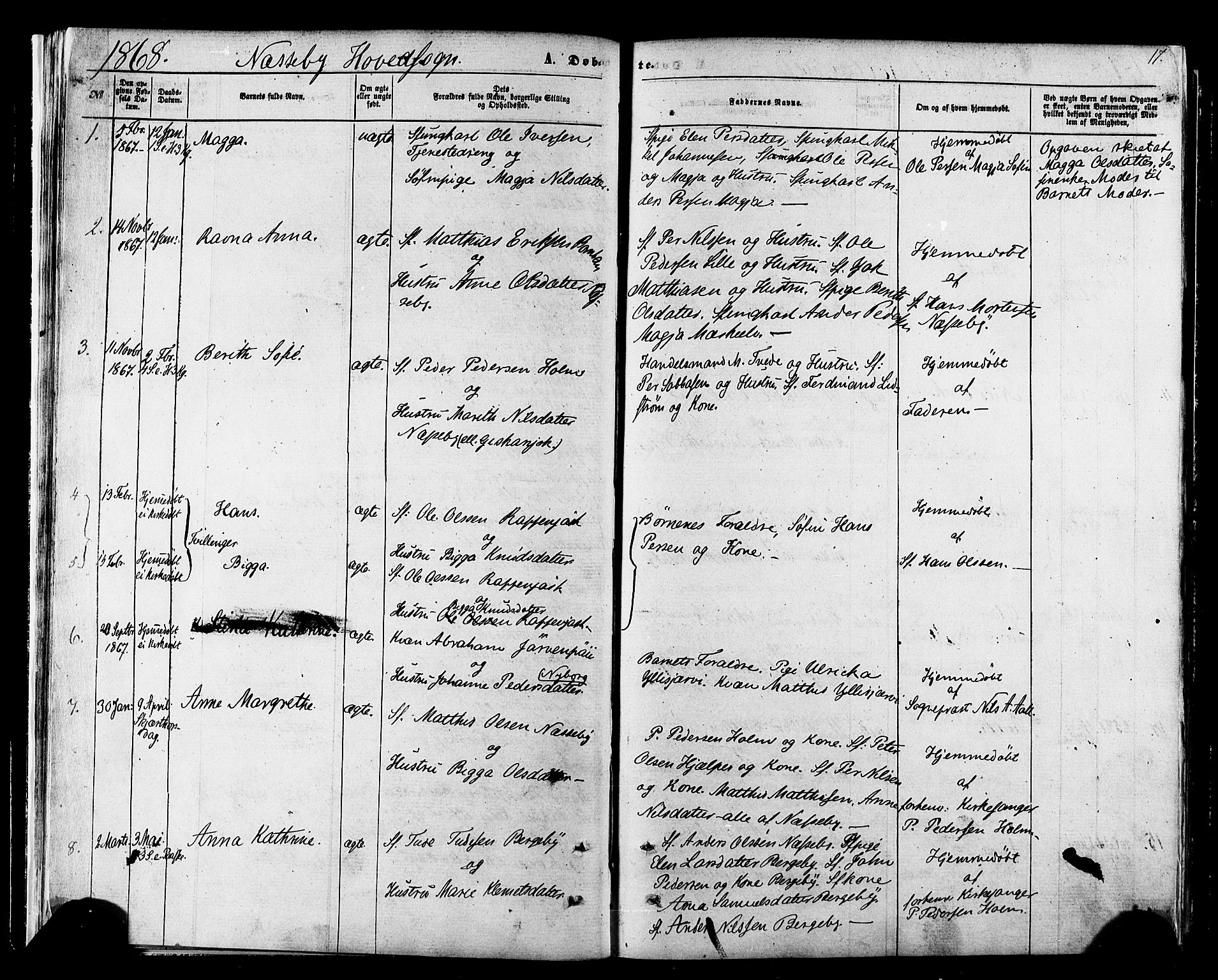 Nesseby sokneprestkontor, SATØ/S-1330/H/Ha/L0003kirke: Parish register (official) no. 3 /1, 1865-1876, p. 17