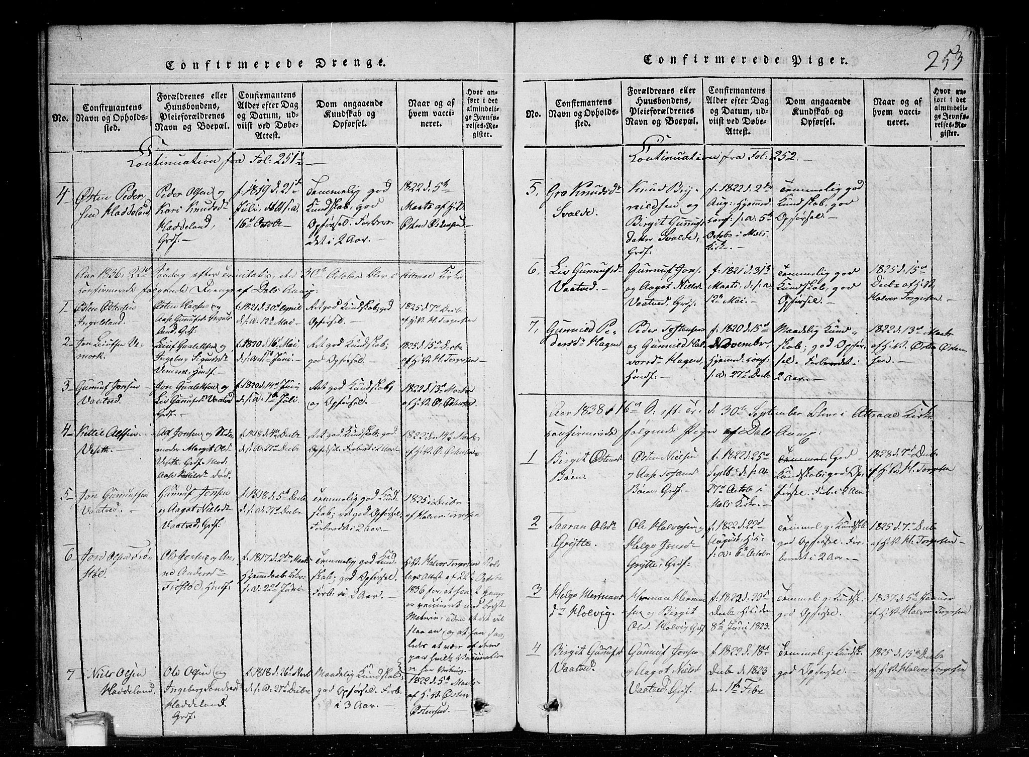Tinn kirkebøker, SAKO/A-308/G/Gc/L0001: Parish register (copy) no. III 1, 1815-1879, p. 253