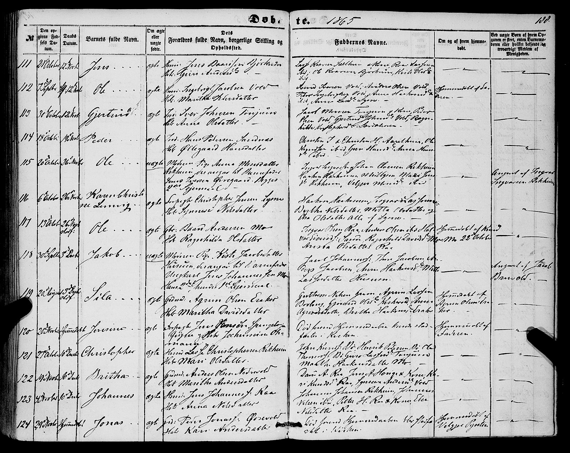 Lærdal sokneprestembete, SAB/A-81201: Parish register (official) no. A 11, 1850-1866, p. 188