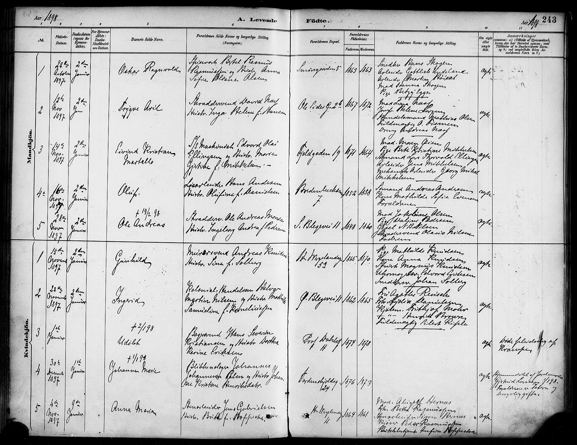 Korskirken sokneprestembete, SAB/A-76101/H/Haa/L0022: Parish register (official) no. B 8, 1889-1899, p. 243