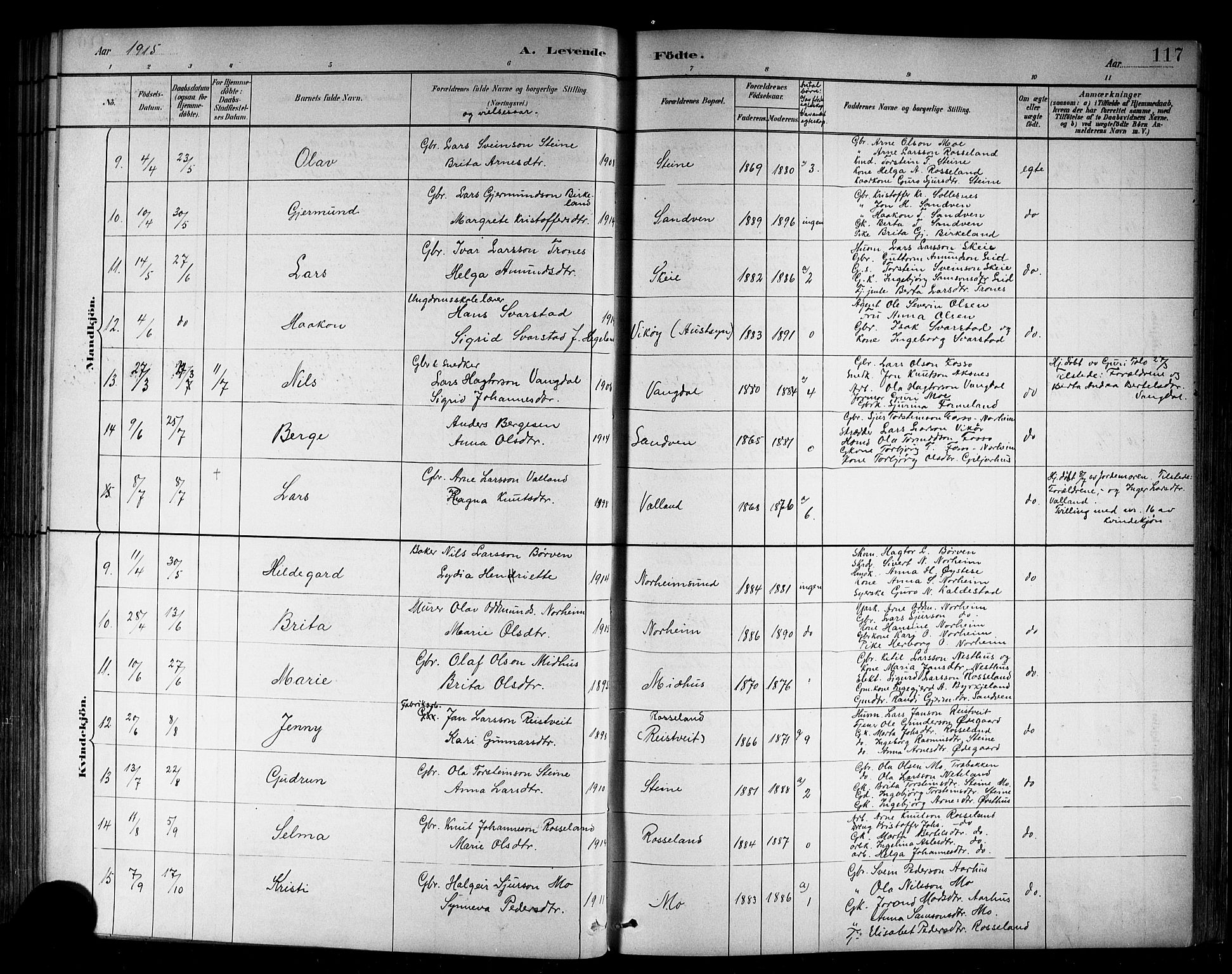 Kvam sokneprestembete, SAB/A-76201/H/Hab: Parish register (copy) no. B 3, 1884-1916, p. 117