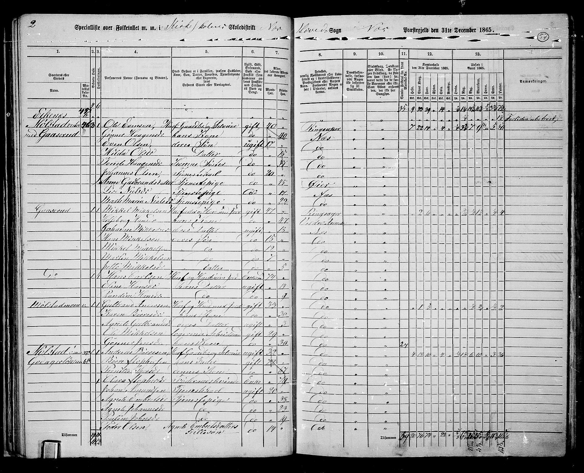 RA, 1865 census for Nes, 1865, p. 47