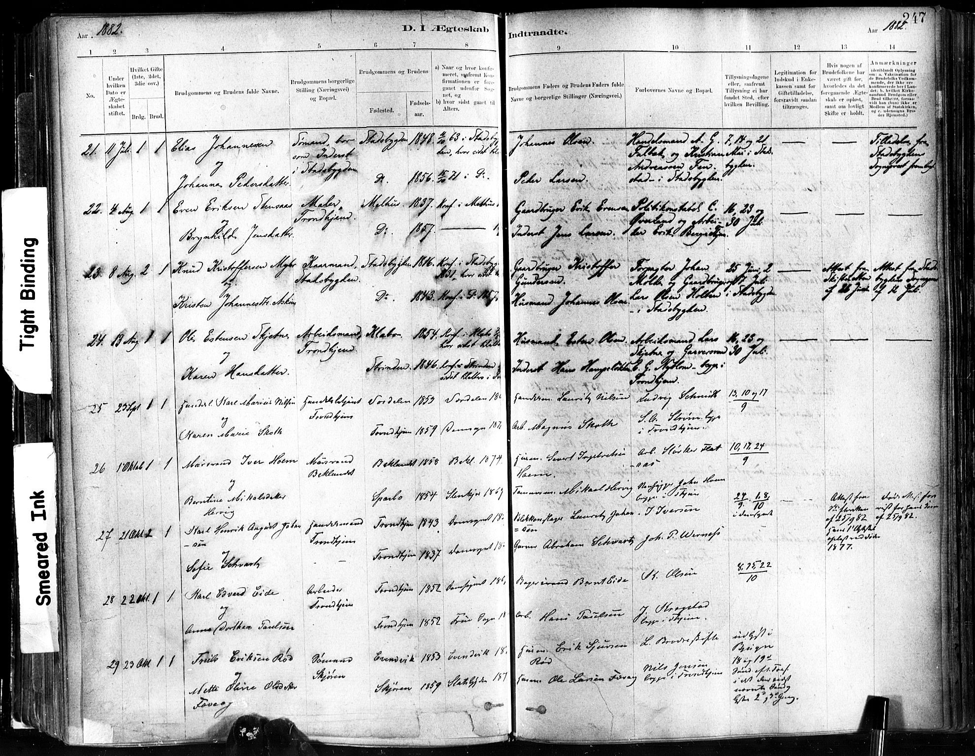 Ministerialprotokoller, klokkerbøker og fødselsregistre - Sør-Trøndelag, SAT/A-1456/602/L0119: Parish register (official) no. 602A17, 1880-1901, p. 247