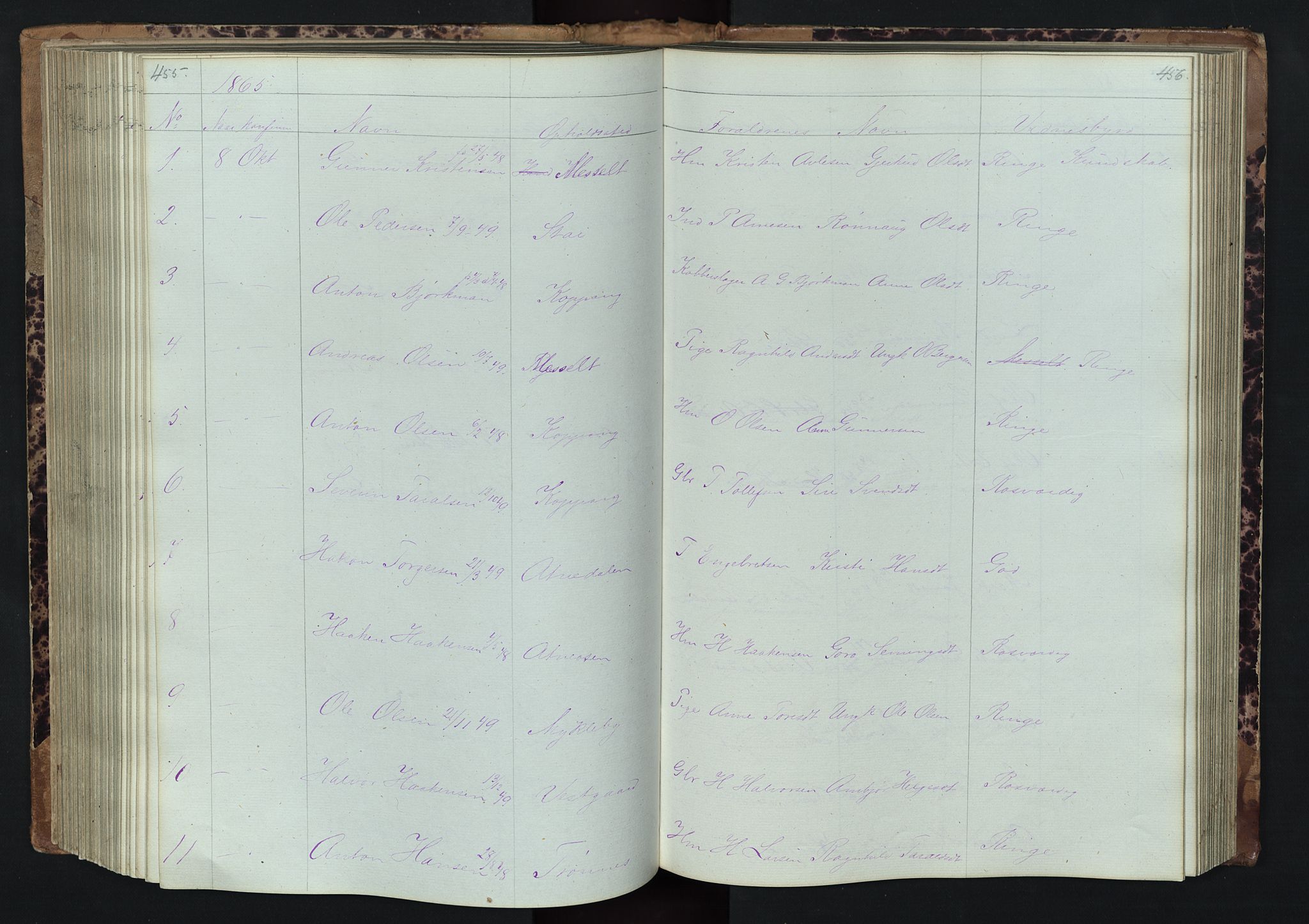 Stor-Elvdal prestekontor, SAH/PREST-052/H/Ha/Hab/L0001: Parish register (copy) no. 1 /1, 1860-1894, p. 455-456