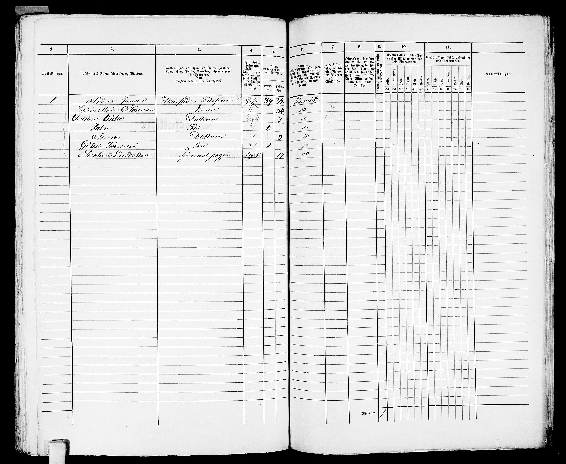 RA, 1865 census for Larvik, 1865, p. 1143