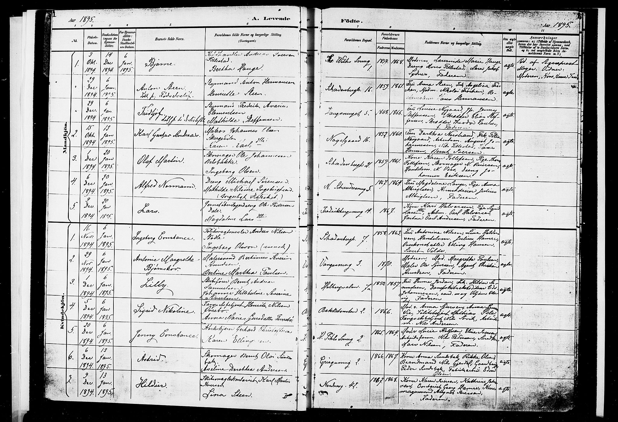 Nykirken Sokneprestembete, SAB/A-77101/H/Hab: Parish register (copy) no. B 3, 1895-1899, p. 1