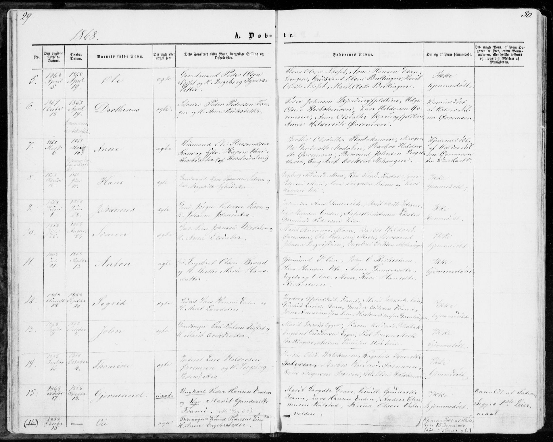 Sollia prestekontor, AV/SAH-PREST-050/H/Ha/Haa/L0001: Parish register (official) no. 1, 1856-1885, p. 29-30