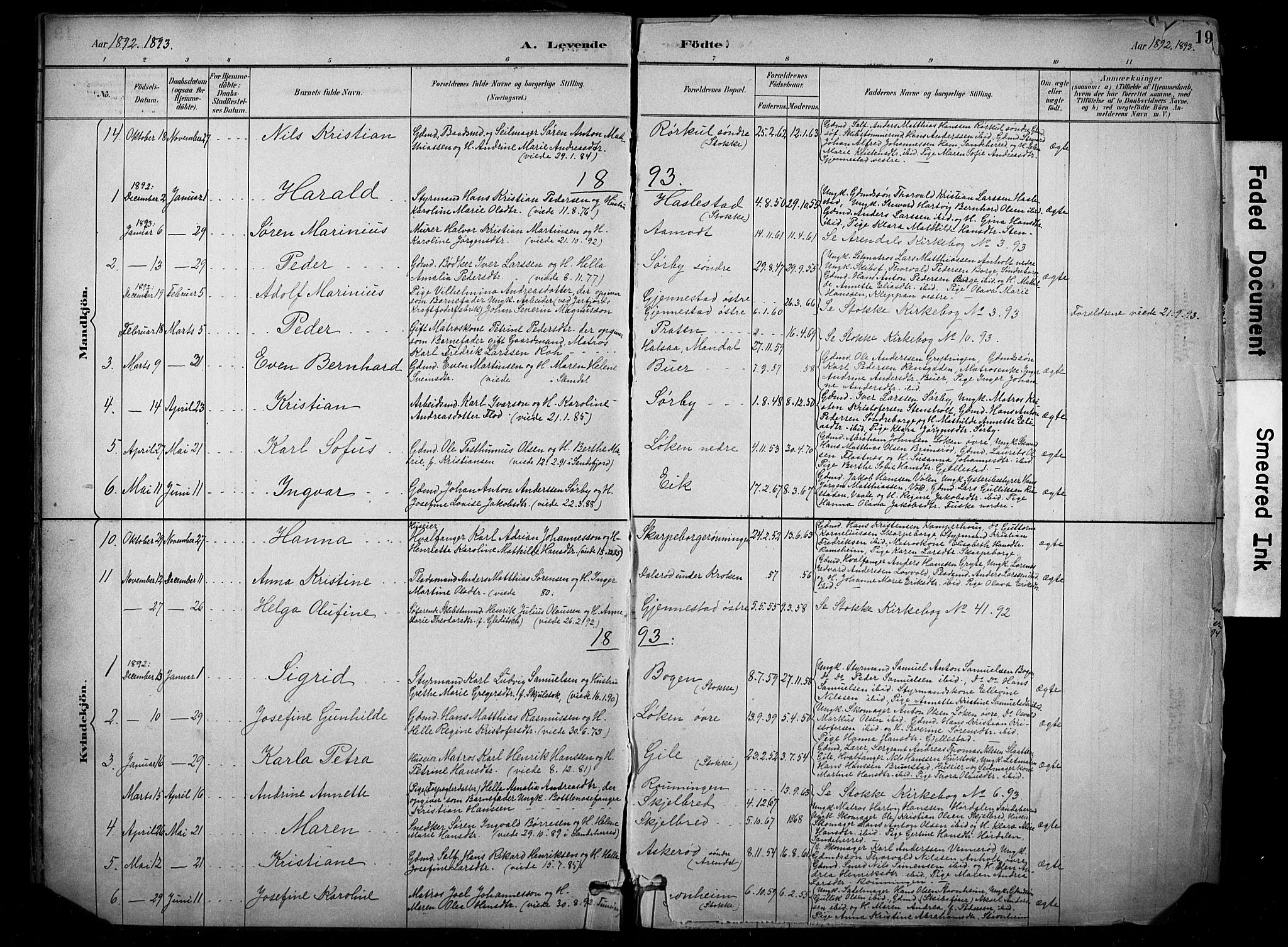 Stokke kirkebøker, SAKO/A-320/F/Fb/L0001: Parish register (official) no. II 1, 1884-1910, p. 19