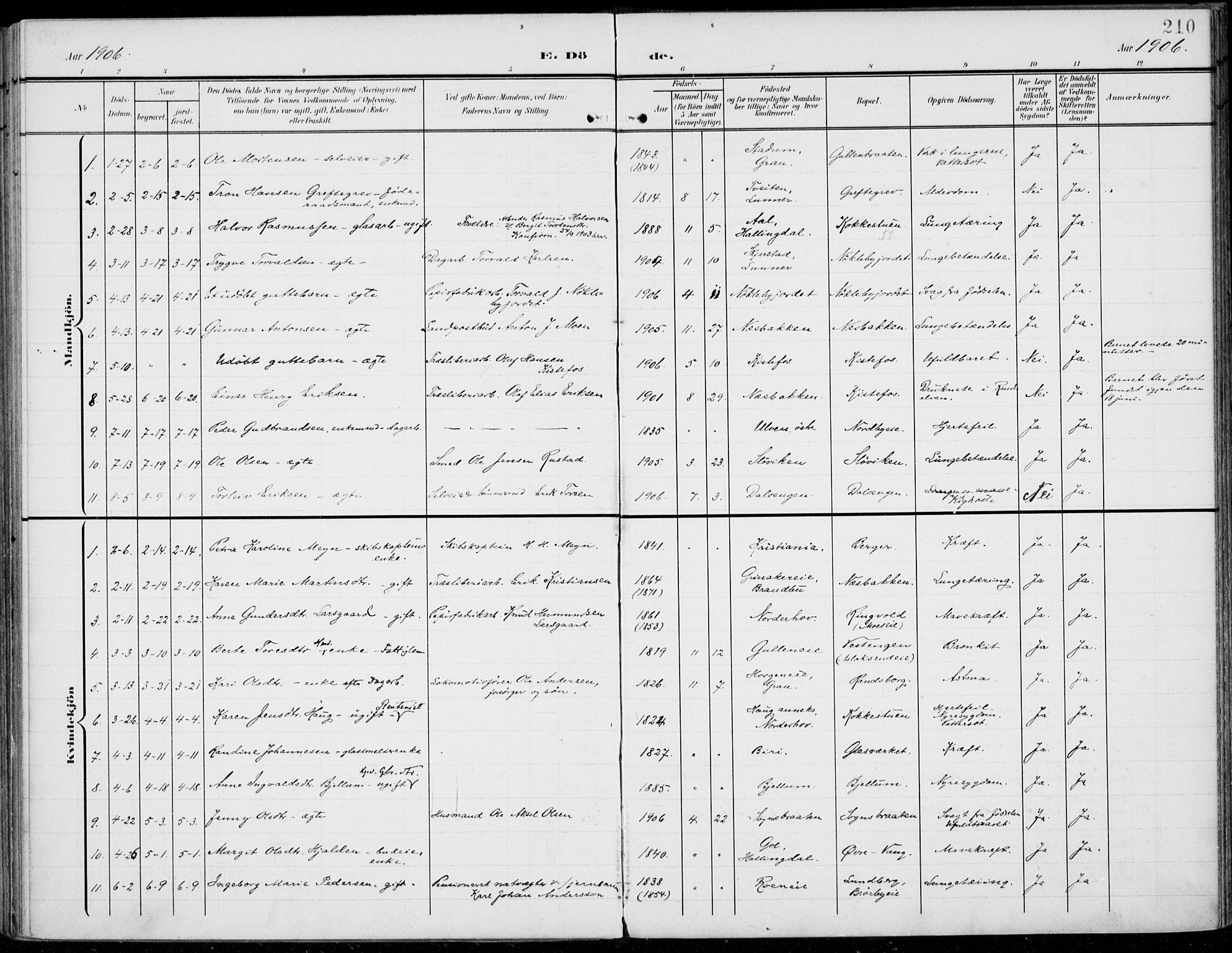 Jevnaker prestekontor, SAH/PREST-116/H/Ha/Haa/L0011: Parish register (official) no. 11, 1902-1913, p. 210