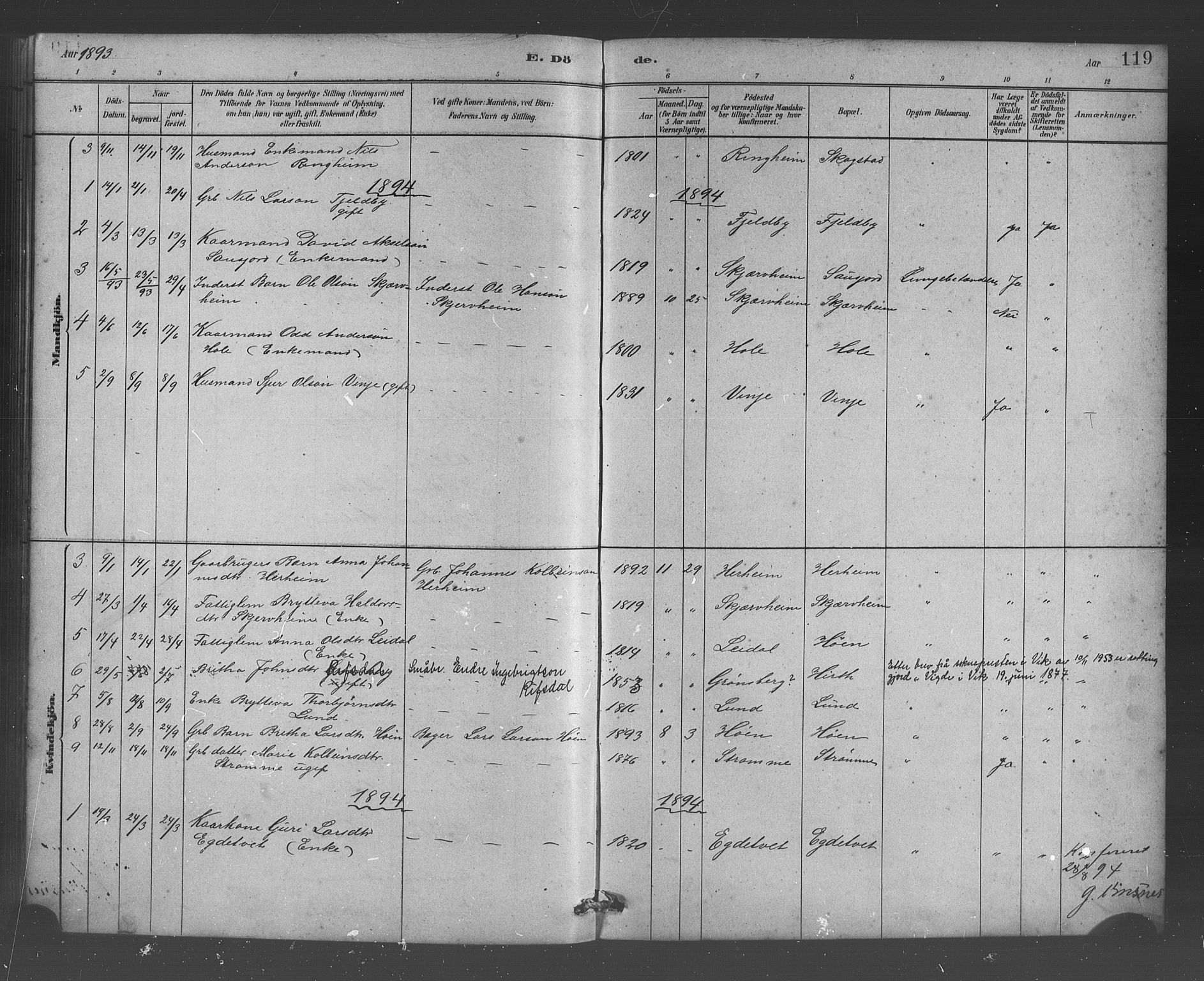 Vossestrand Sokneprestembete, AV/SAB-A-79101/H/Hab: Parish register (copy) no. B 3, 1880-1907, p. 119