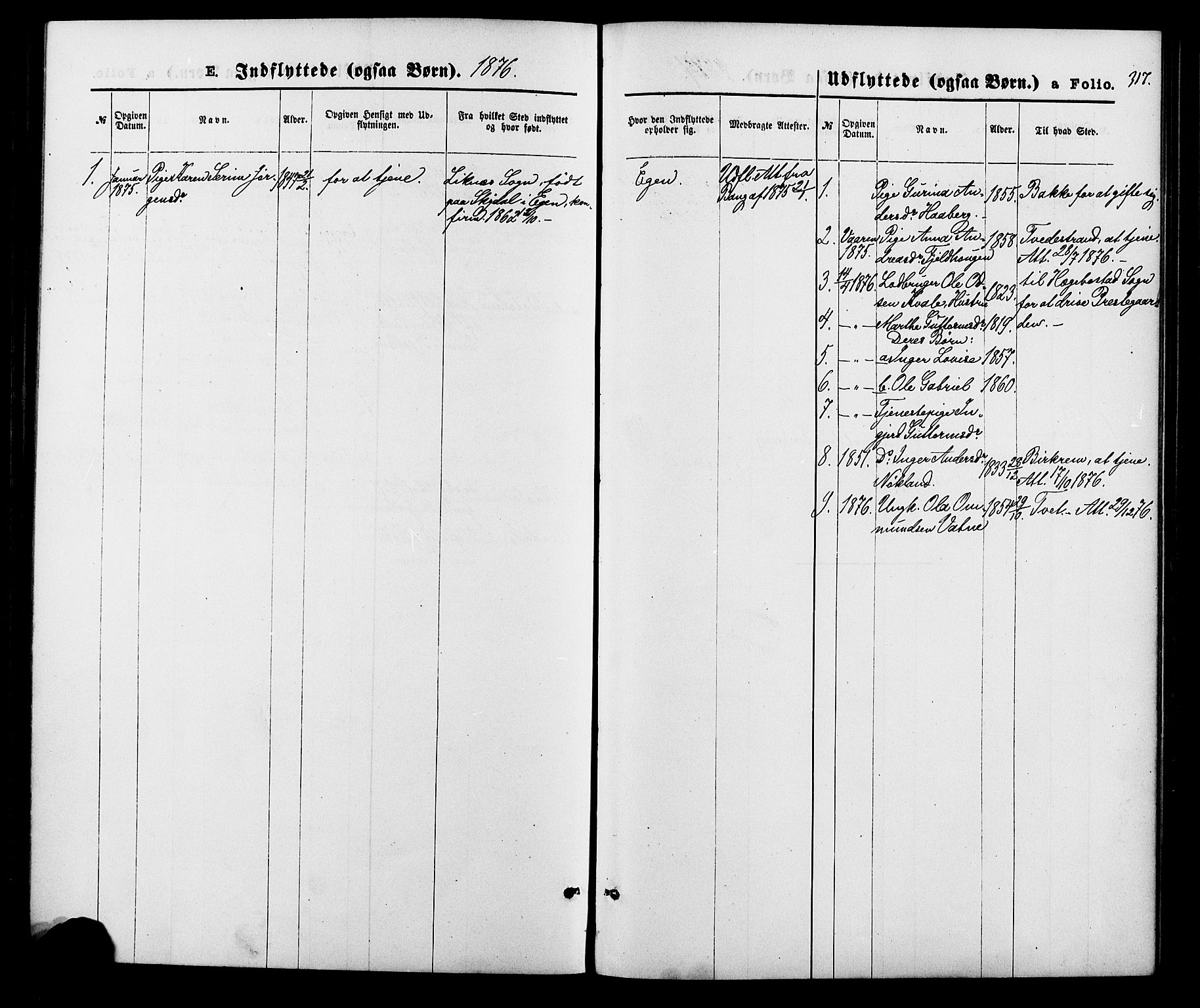 Hægebostad sokneprestkontor, SAK/1111-0024/F/Fa/Fab/L0003: Parish register (official) no. A 3, 1872-1886, p. 317