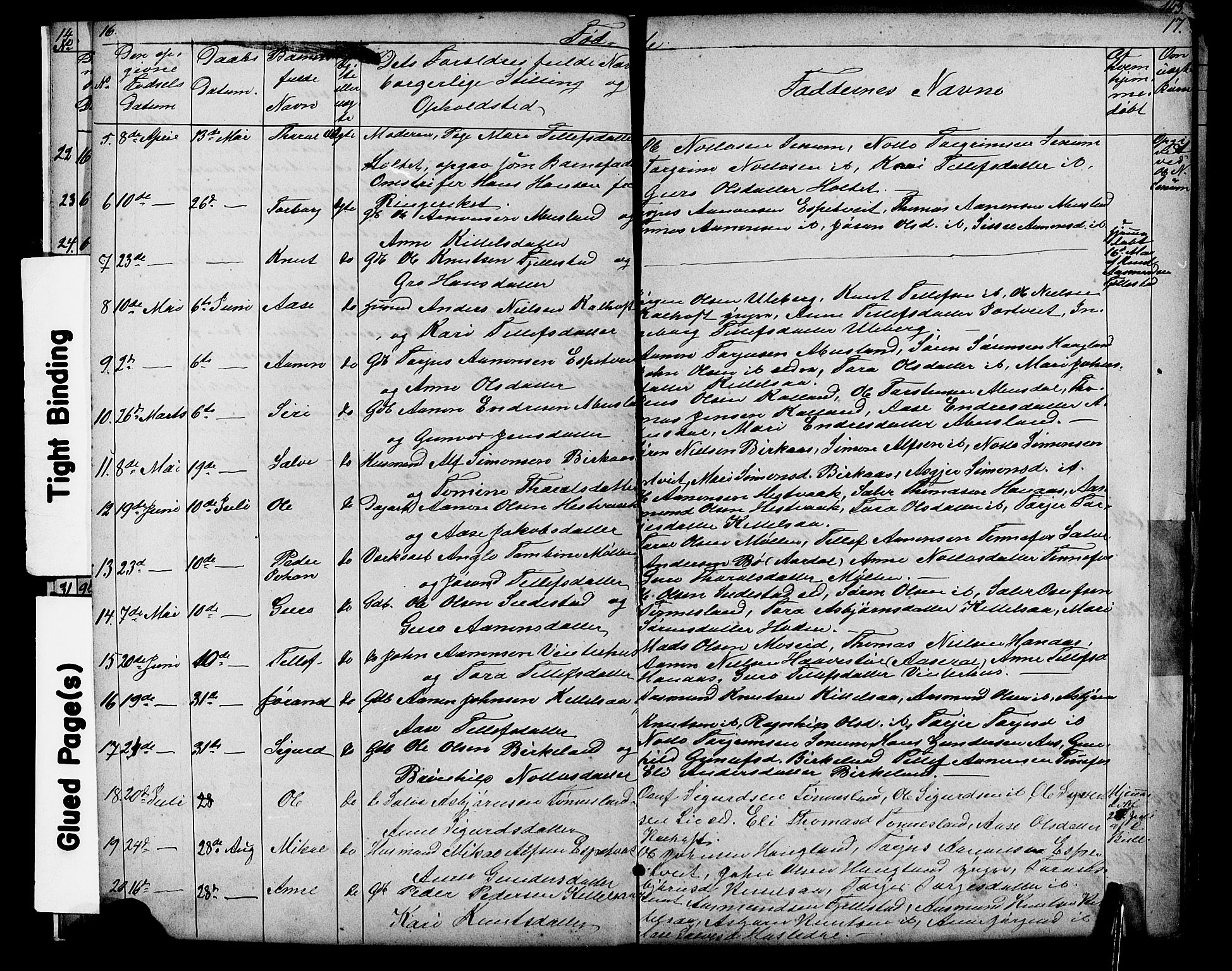 Evje sokneprestkontor, SAK/1111-0008/F/Fb/Fbb/L0002: Parish register (copy) no. B 2, 1879-1909, p. 16-17