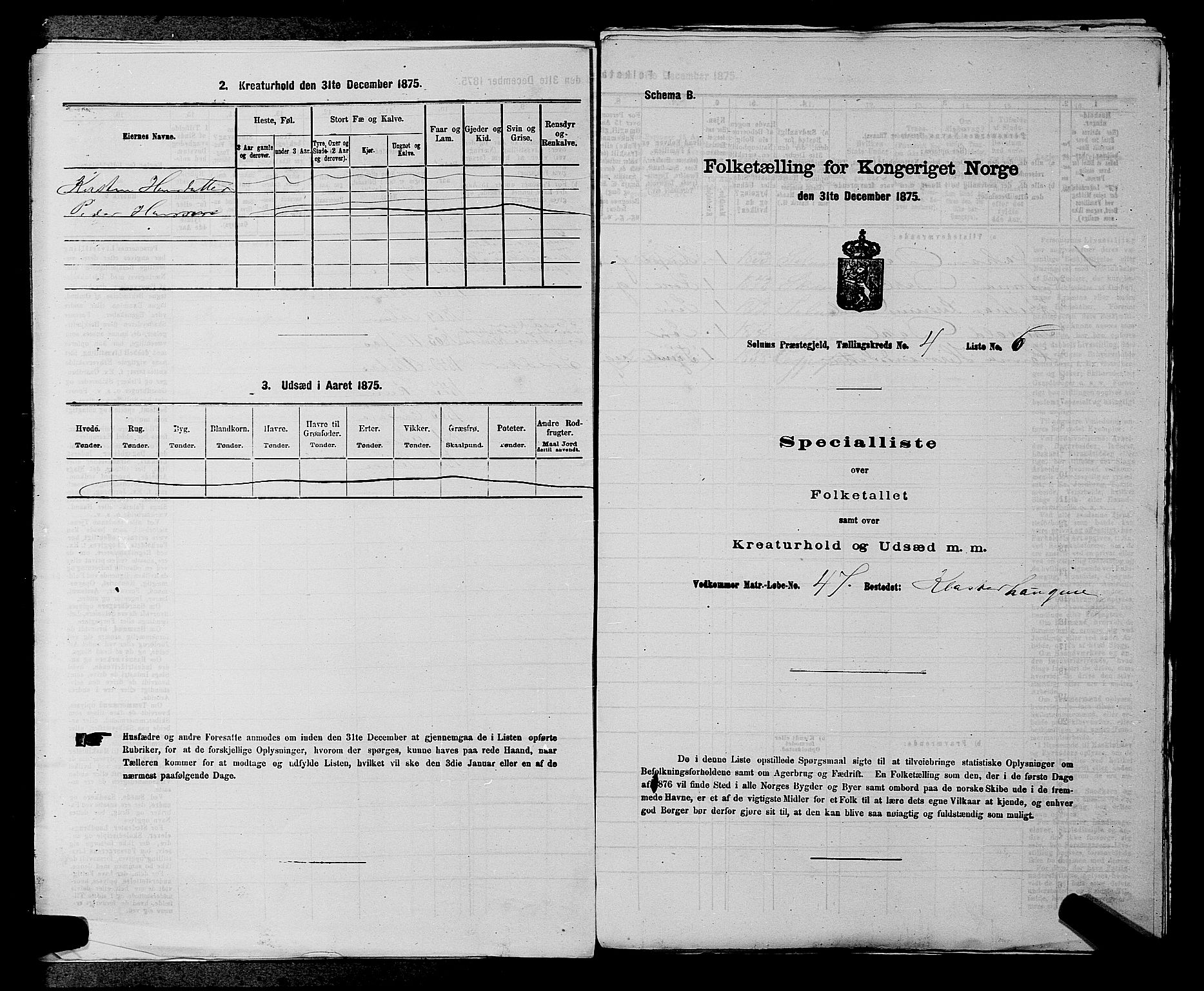 SAKO, 1875 census for 0818P Solum, 1875, p. 711