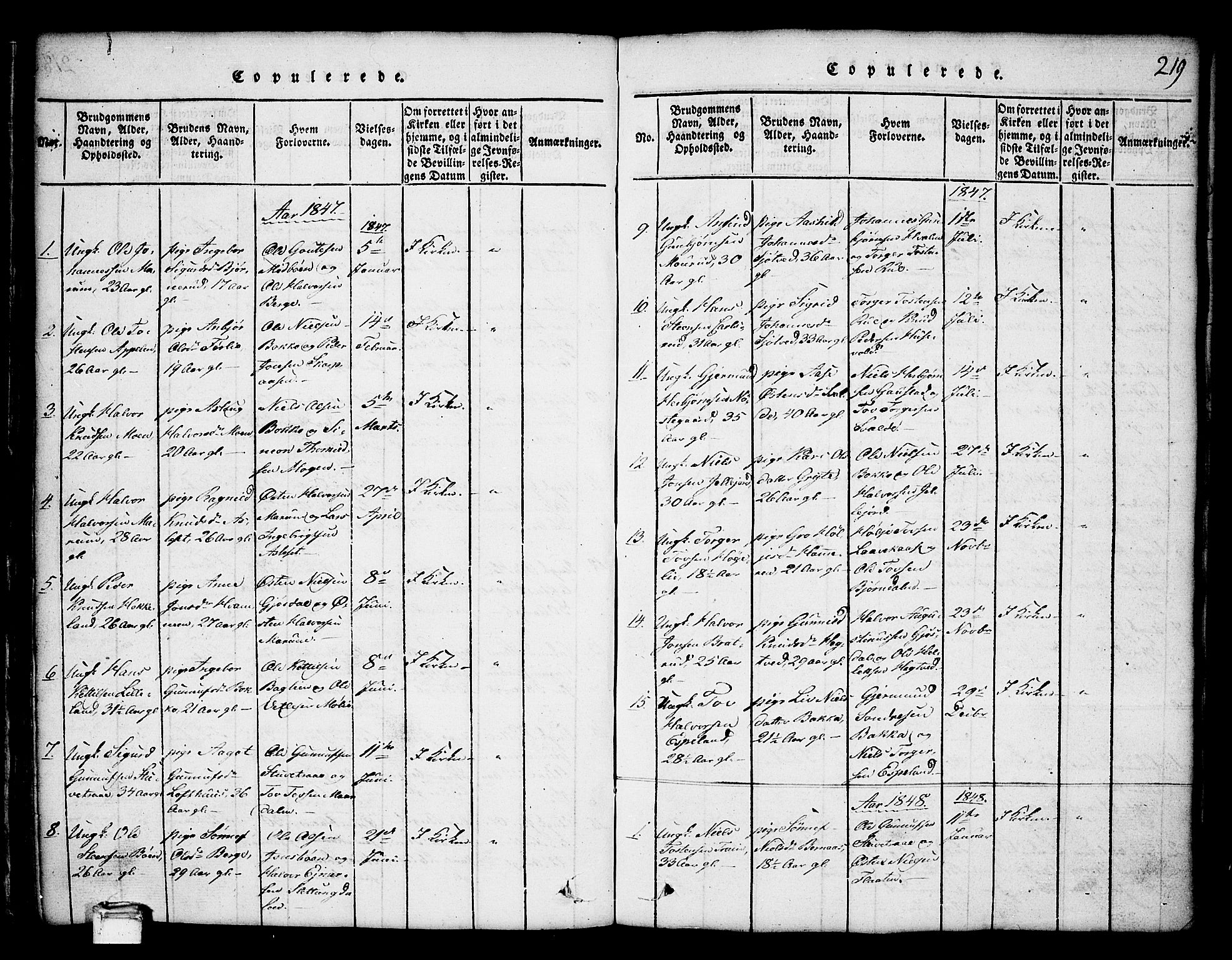 Tinn kirkebøker, AV/SAKO-A-308/G/Ga/L0001: Parish register (copy) no. I 1, 1815-1850, p. 219