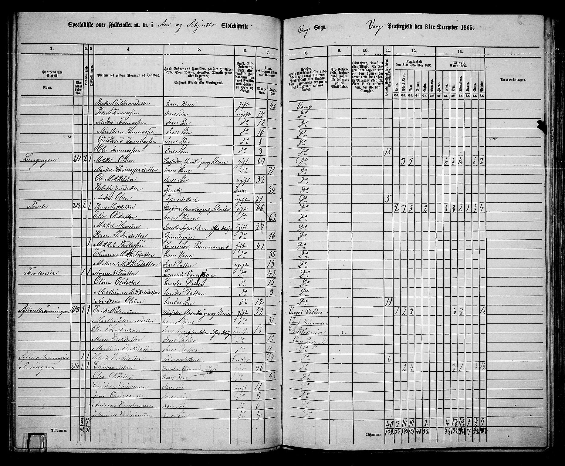 RA, 1865 census for Vang/Vang og Furnes, 1865, p. 245