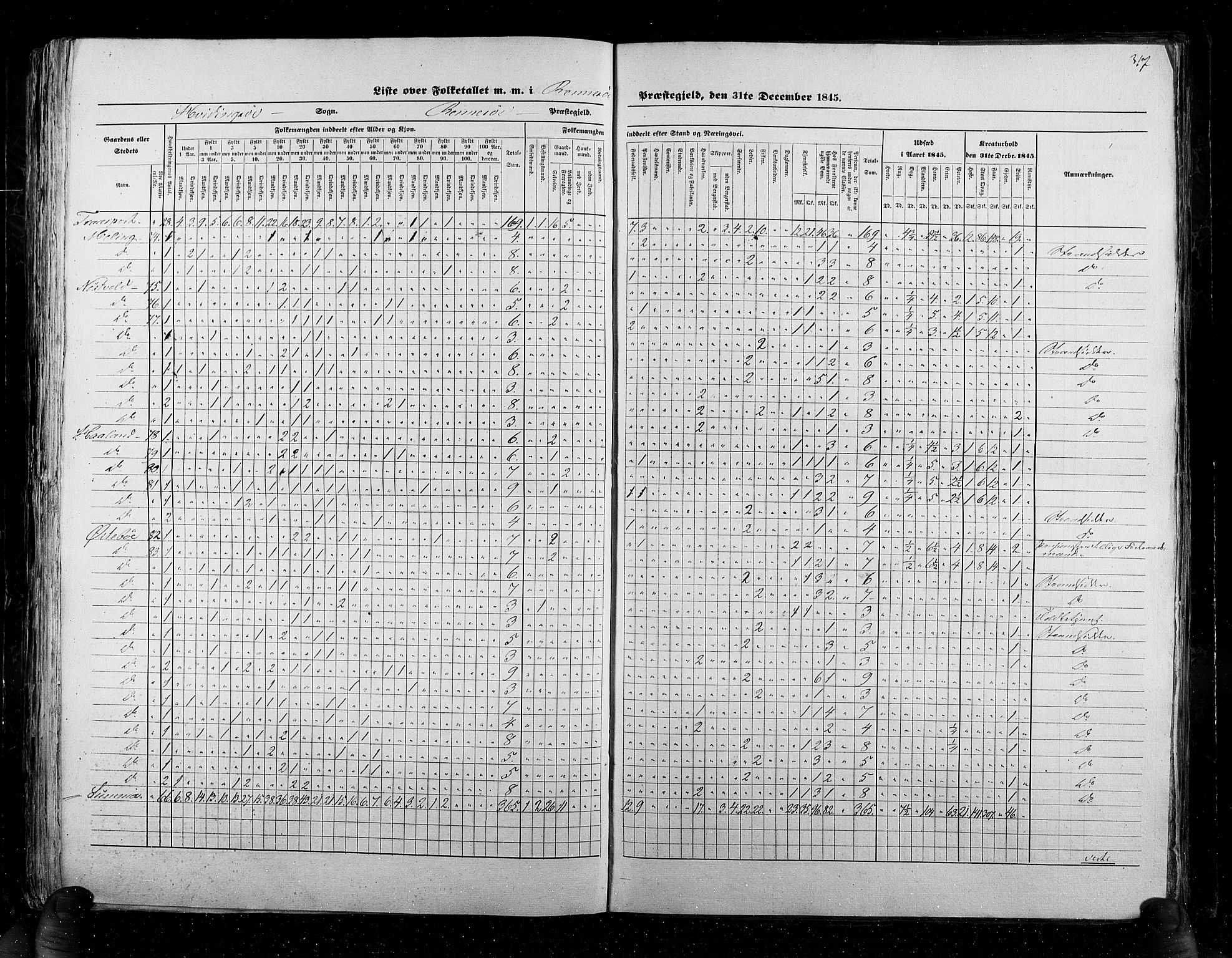 RA, Census 1845, vol. 6: Lister og Mandal amt og Stavanger amt, 1845, p. 317