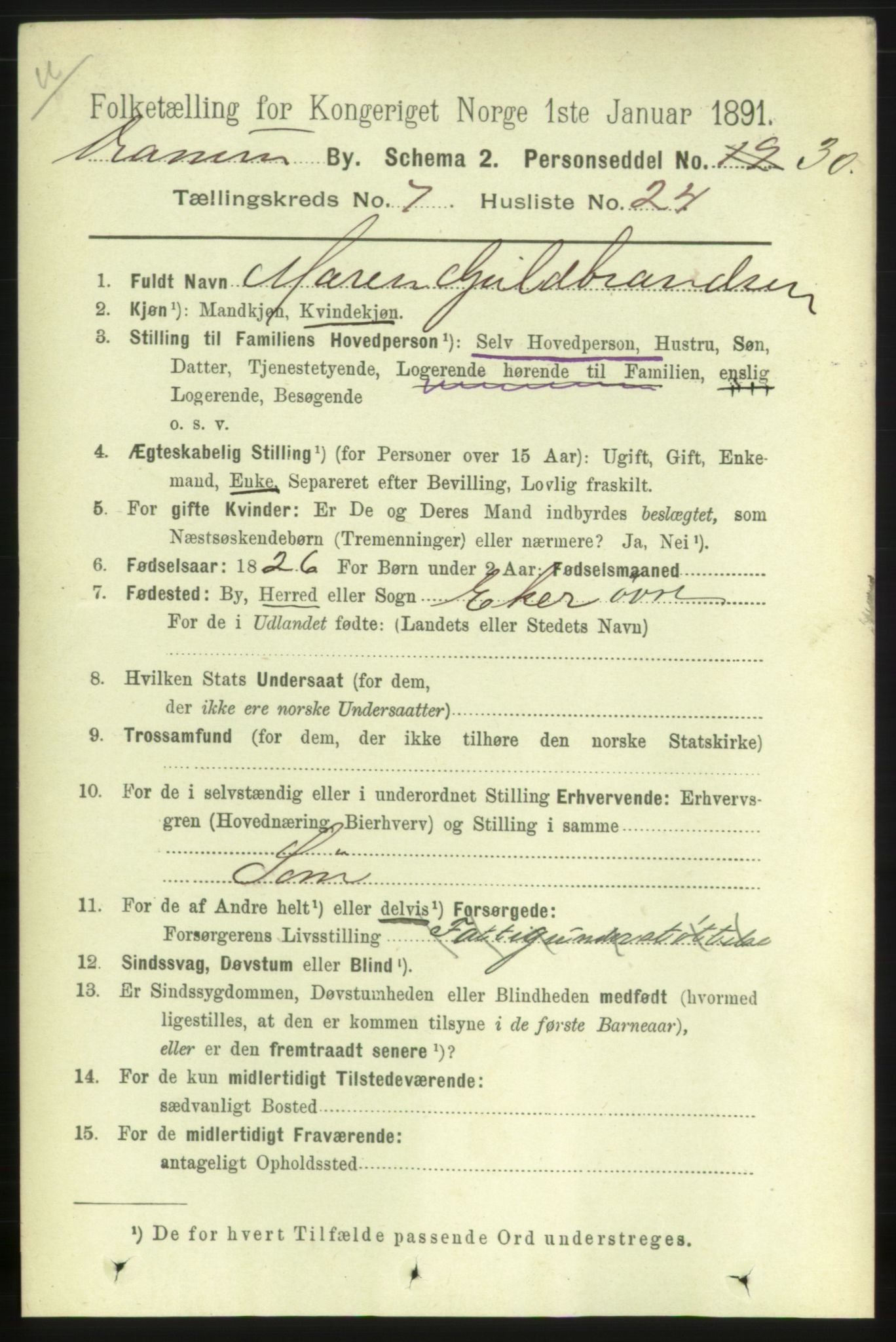 RA, 1891 census for 0602 Drammen, 1891, p. 6718