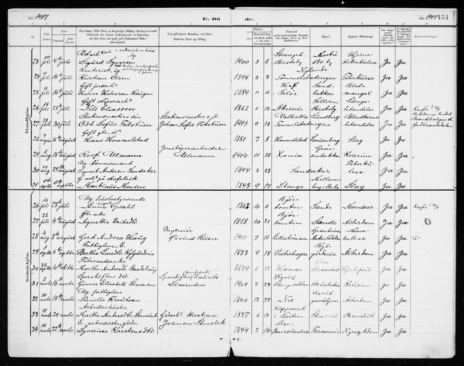 Vang prestekontor, Hedmark, SAH/PREST-008/H/Ha/Haa/L0021: Parish register (official) no. 21, 1902-1917, p. 431