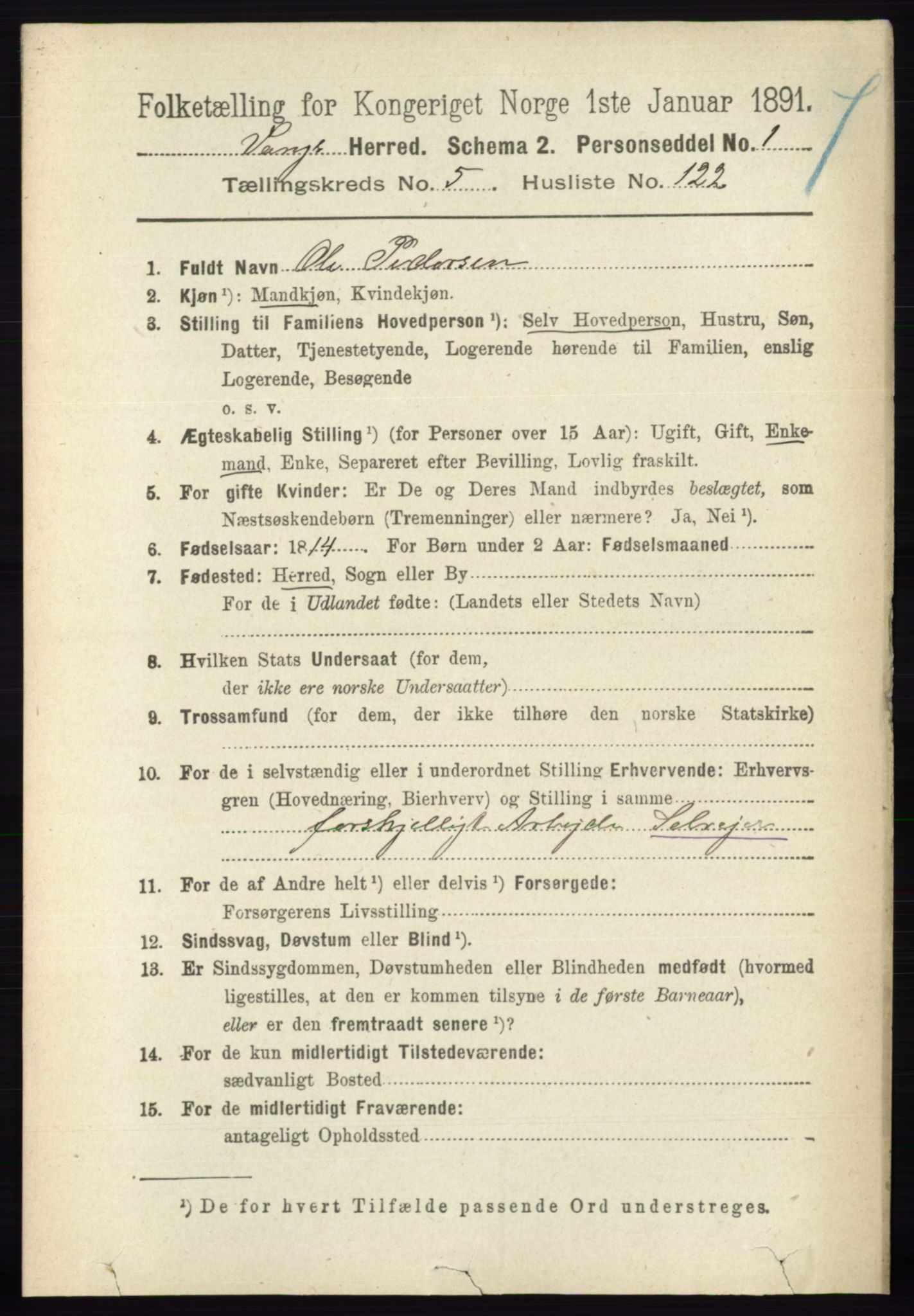 RA, 1891 census for 0414 Vang, 1891, p. 4161