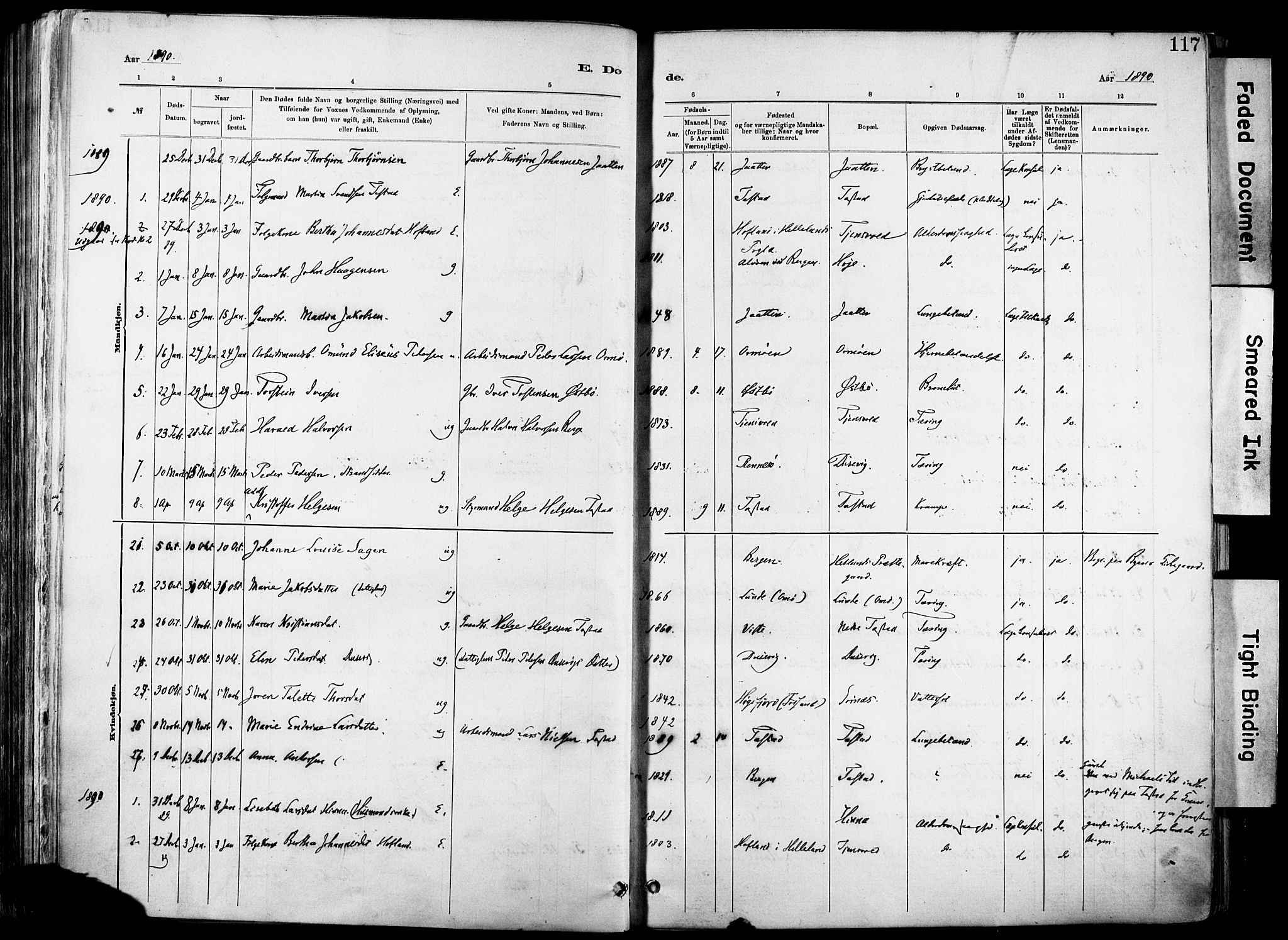 Hetland sokneprestkontor, AV/SAST-A-101826/30/30BA/L0012: Parish register (official) no. A 12, 1882-1912, p. 117