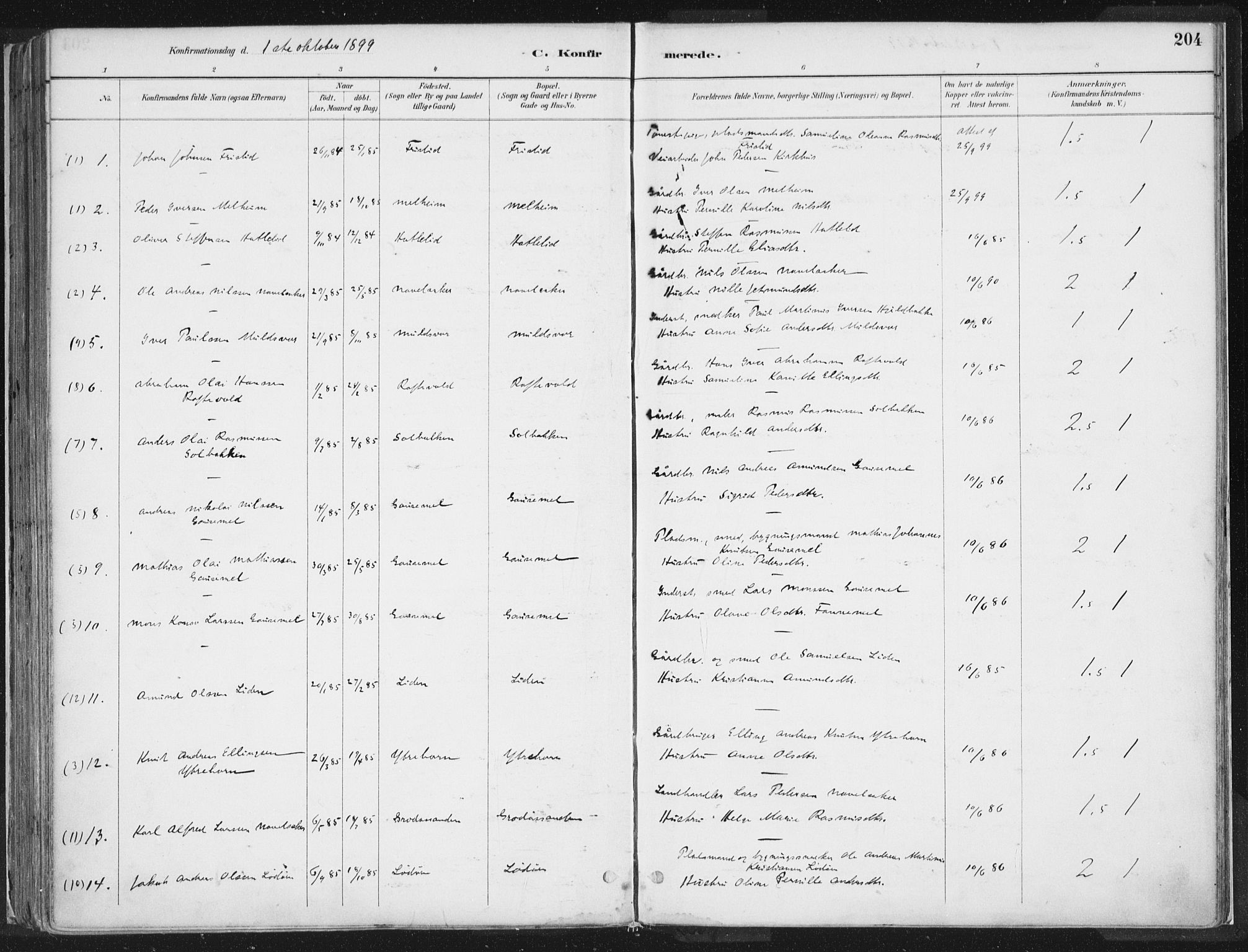 Hornindal sokneprestembete, AV/SAB-A-82401/H/Haa/Haaa/L0003/0001: Parish register (official) no. A 3A, 1887-1917, p. 204