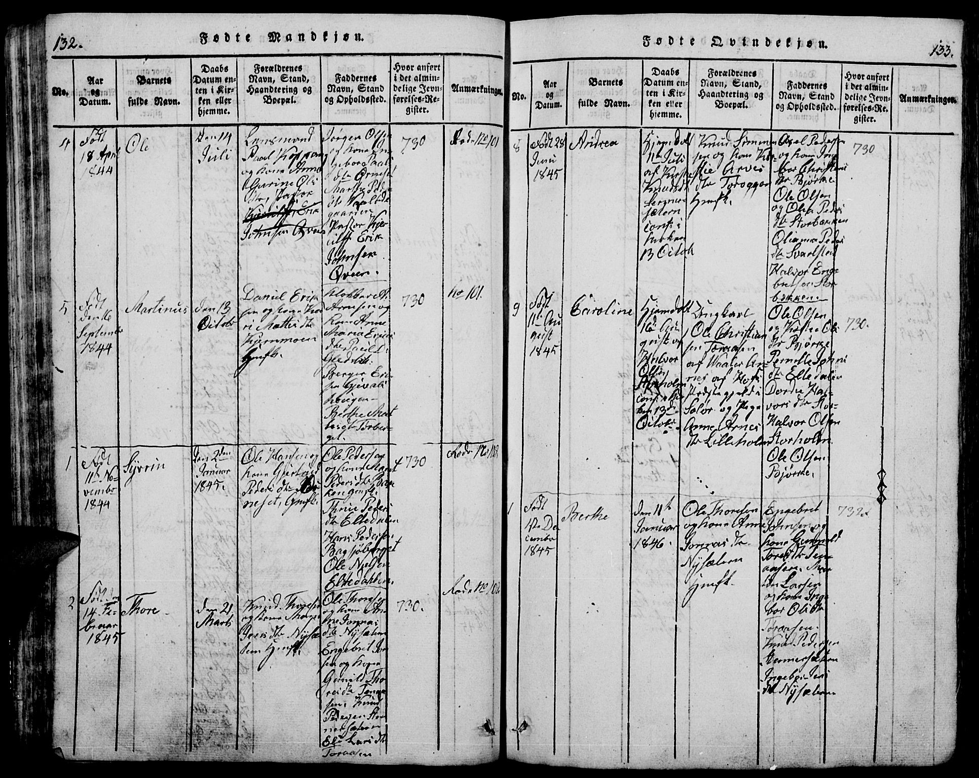 Trysil prestekontor, AV/SAH-PREST-046/H/Ha/Hab/L0005: Parish register (copy) no. 5, 1814-1877, p. 132-133