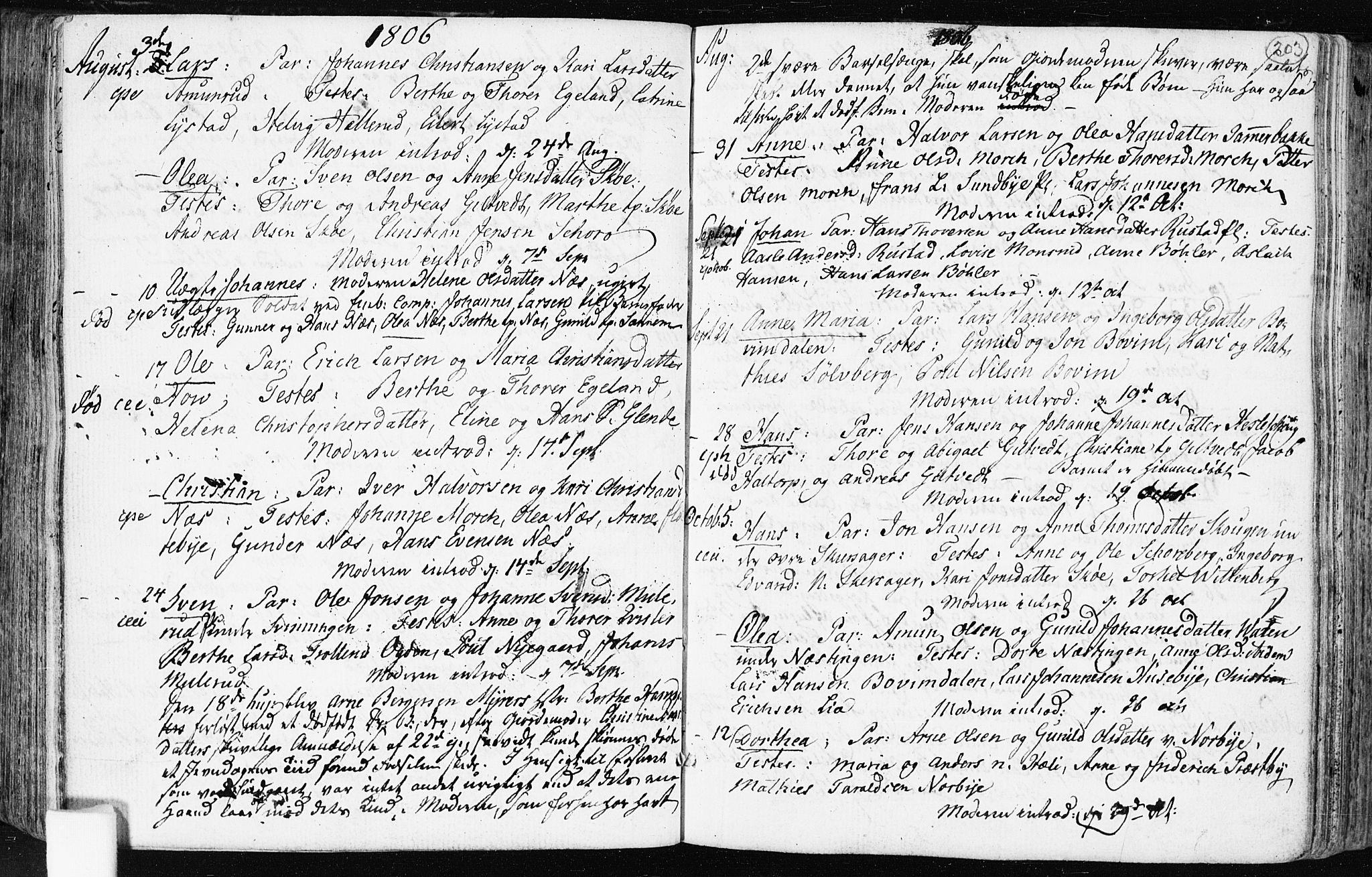 Spydeberg prestekontor Kirkebøker, SAO/A-10924/F/Fa/L0003: Parish register (official) no. I 3, 1778-1814, p. 203
