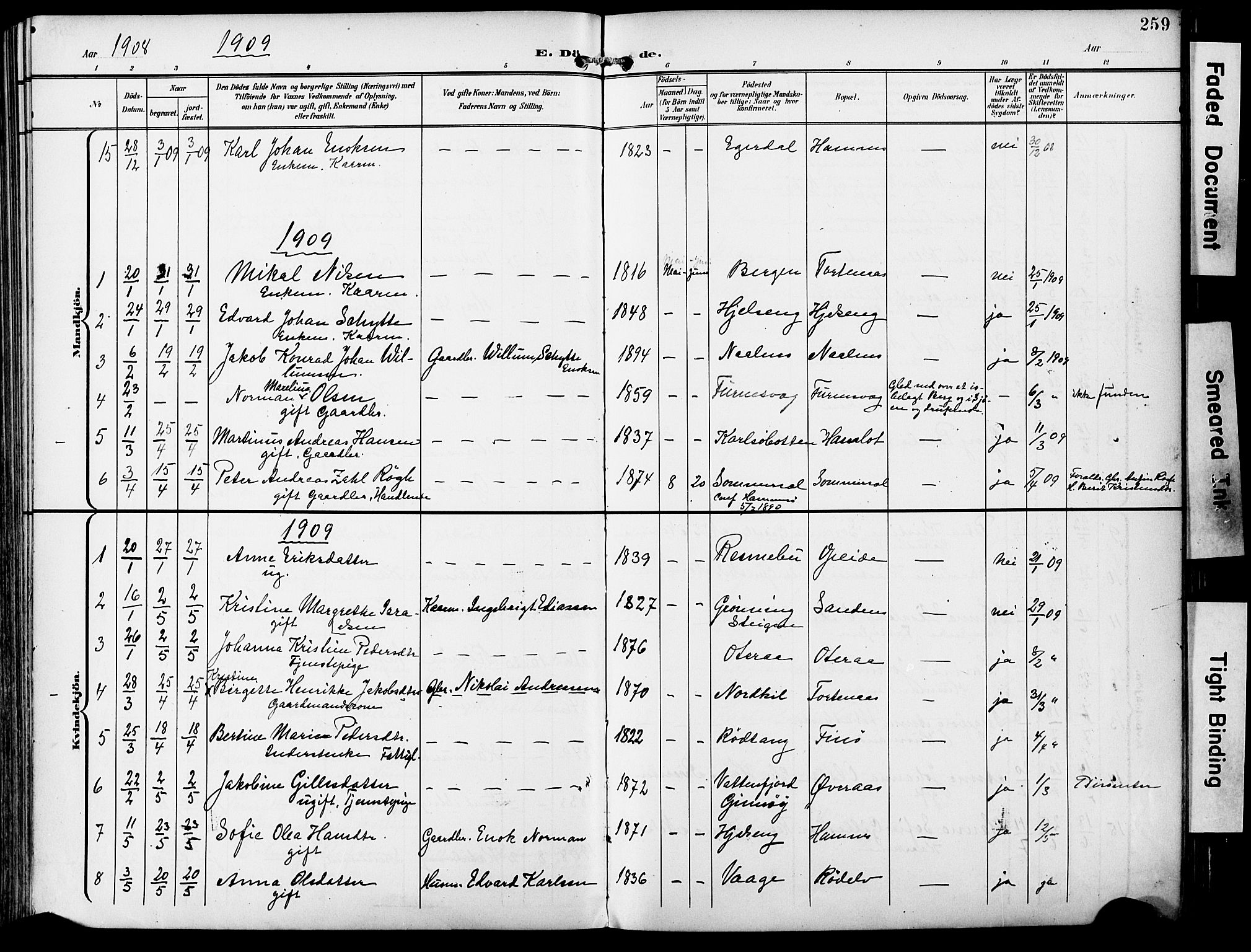 Ministerialprotokoller, klokkerbøker og fødselsregistre - Nordland, SAT/A-1459/859/L0848: Parish register (official) no. 859A08, 1900-1912, p. 259