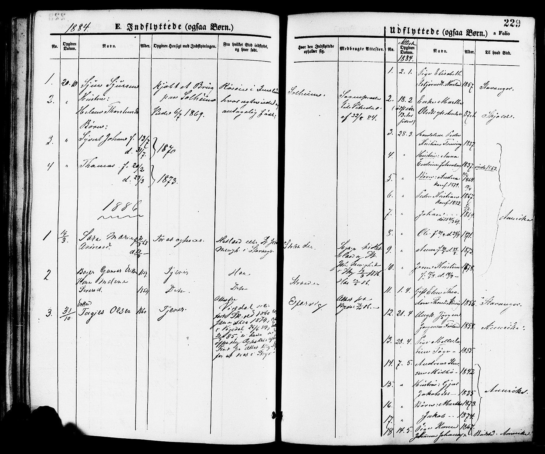 Nedstrand sokneprestkontor, AV/SAST-A-101841/01/IV: Parish register (official) no. A 11, 1877-1887, p. 229