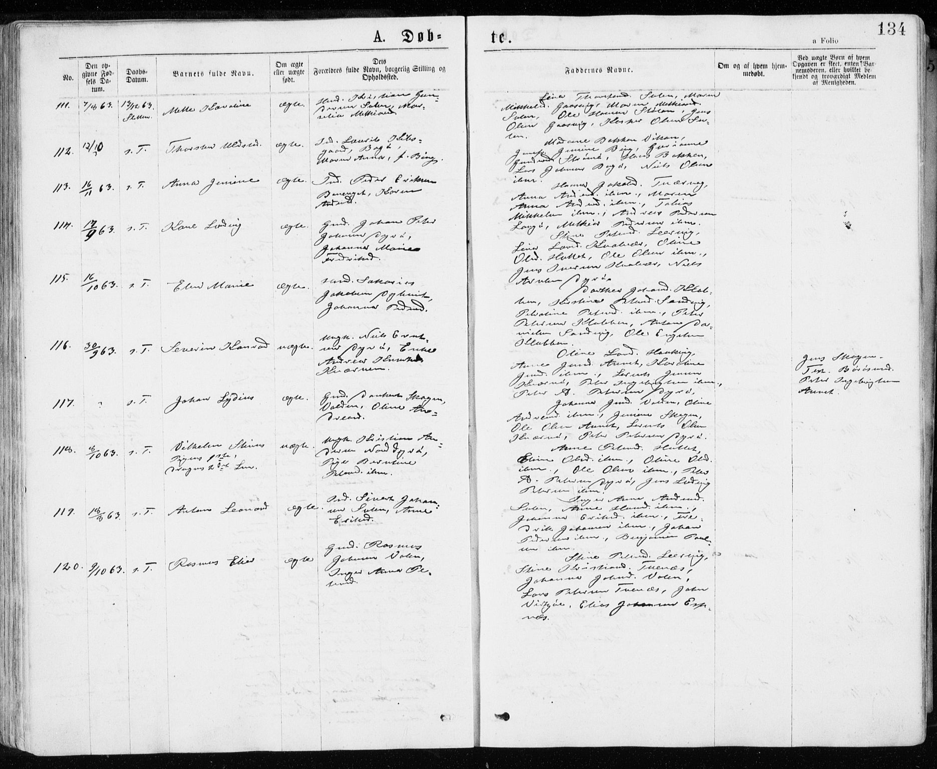 Ministerialprotokoller, klokkerbøker og fødselsregistre - Sør-Trøndelag, SAT/A-1456/640/L0576: Parish register (official) no. 640A01, 1846-1876, p. 134