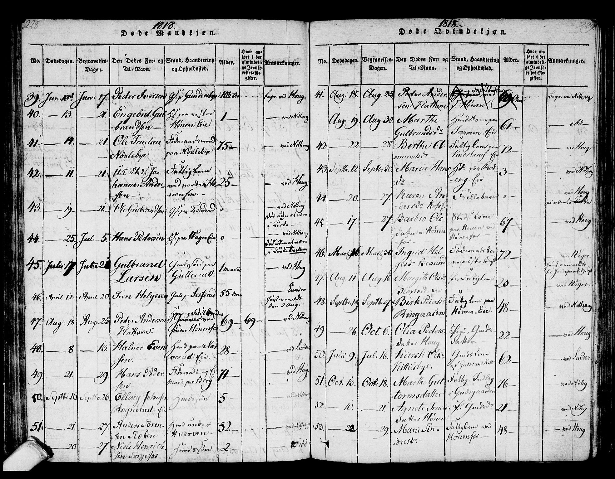 Norderhov kirkebøker, AV/SAKO-A-237/F/Fa/L0008: Parish register (official) no. 8, 1814-1833, p. 228-229