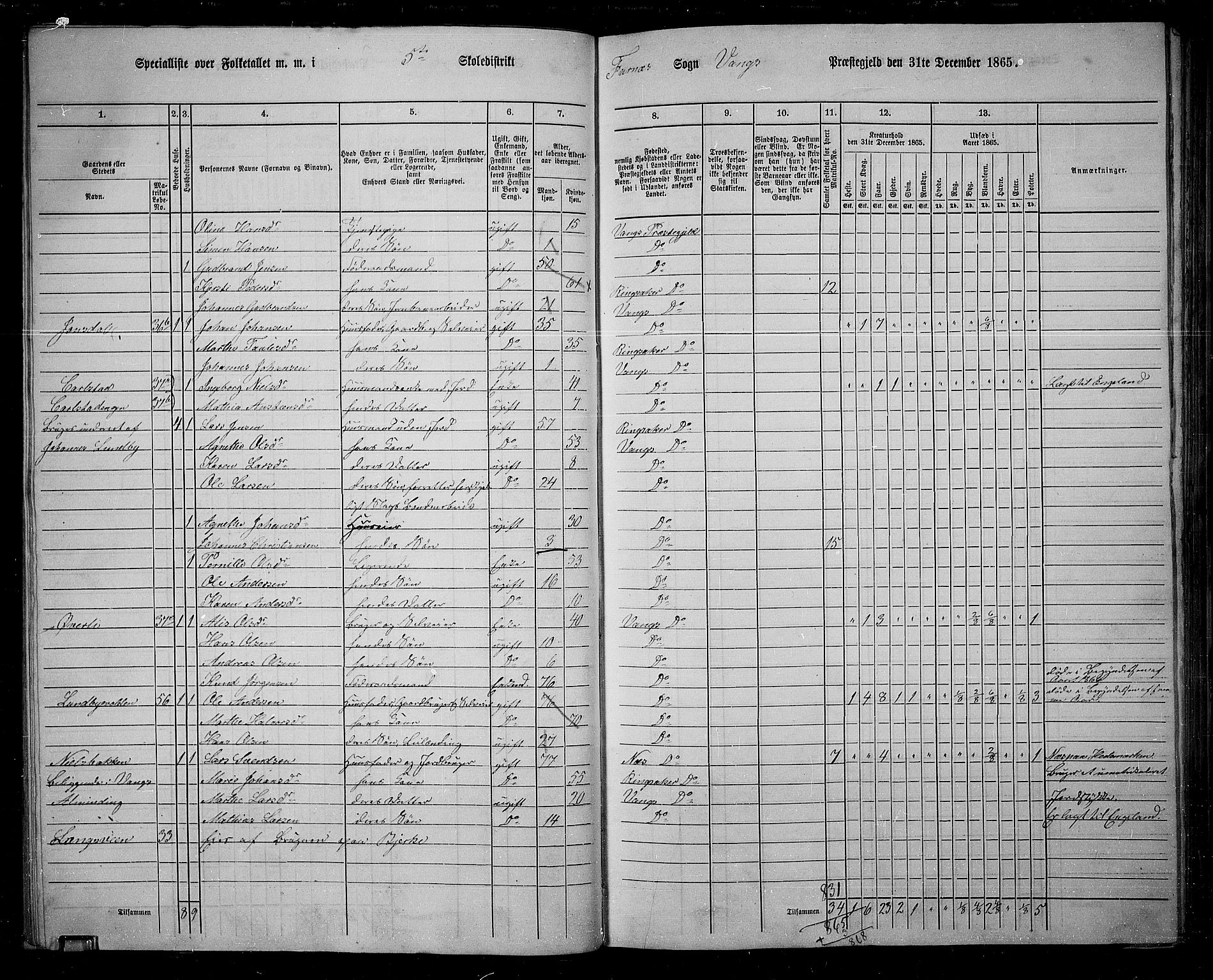 RA, 1865 census for Vang/Vang og Furnes, 1865, p. 45