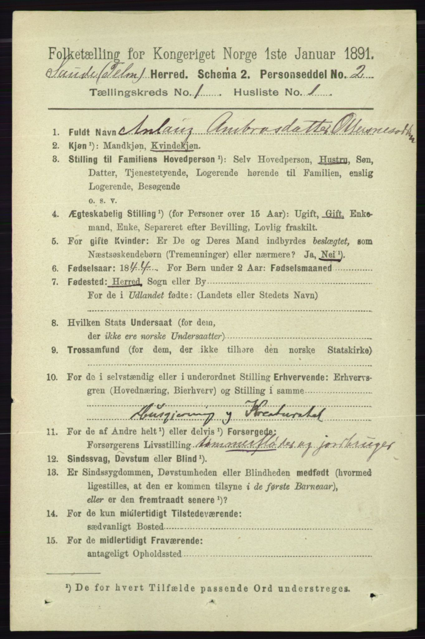 RA, 1891 census for 0822 Sauherad, 1891, p. 101