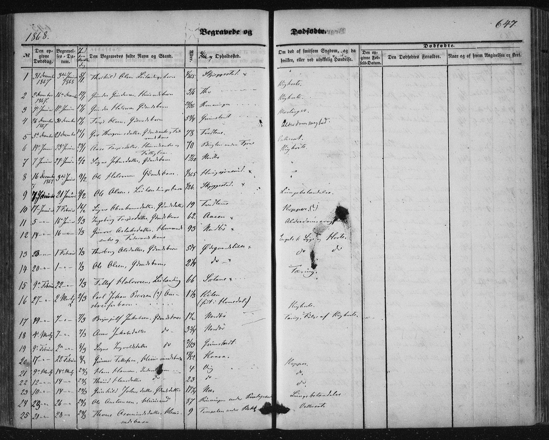 Nissedal kirkebøker, AV/SAKO-A-288/F/Fa/L0003: Parish register (official) no. I 3, 1846-1870, p. 646-647