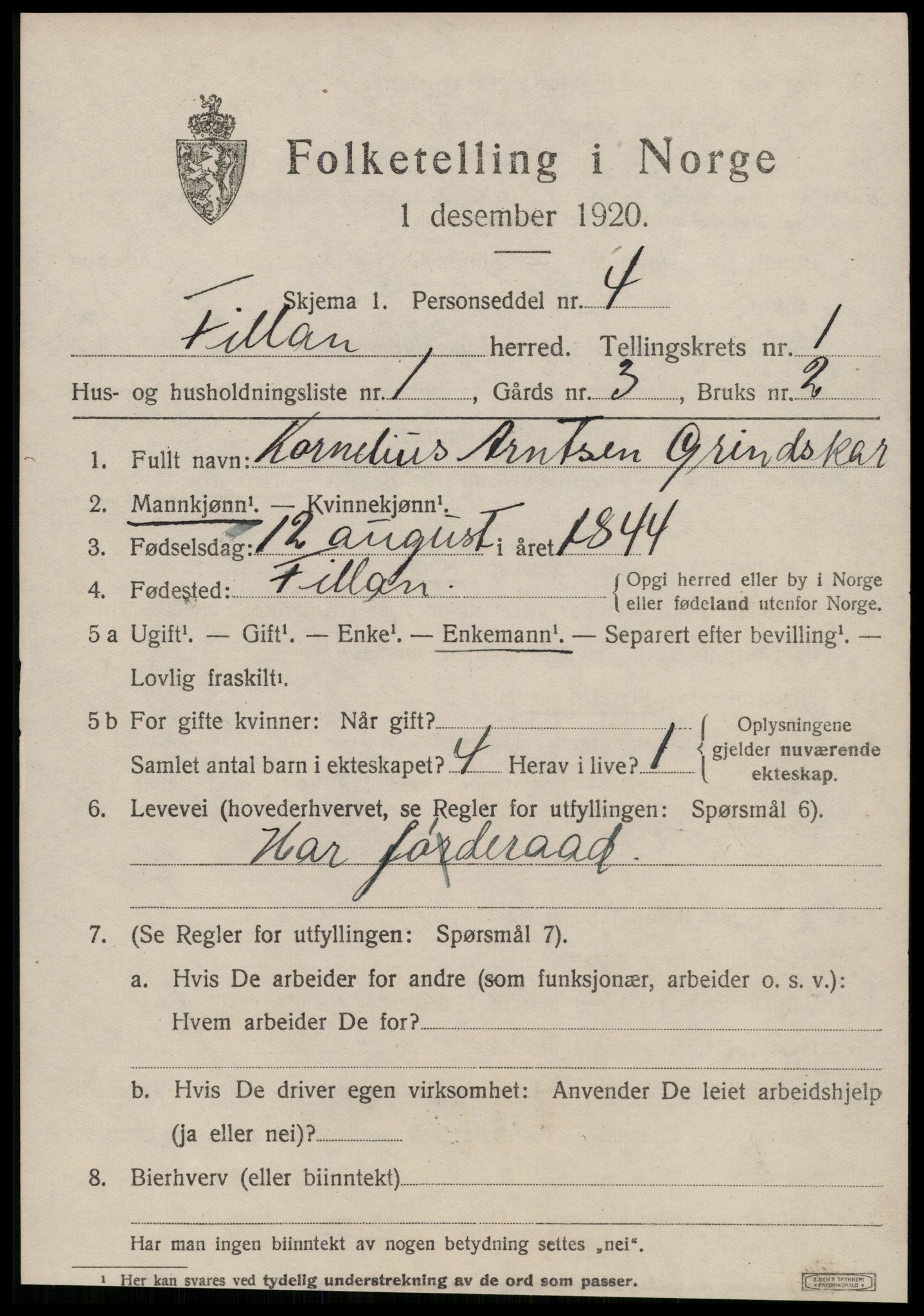 SAT, 1920 census for Fillan, 1920, p. 594